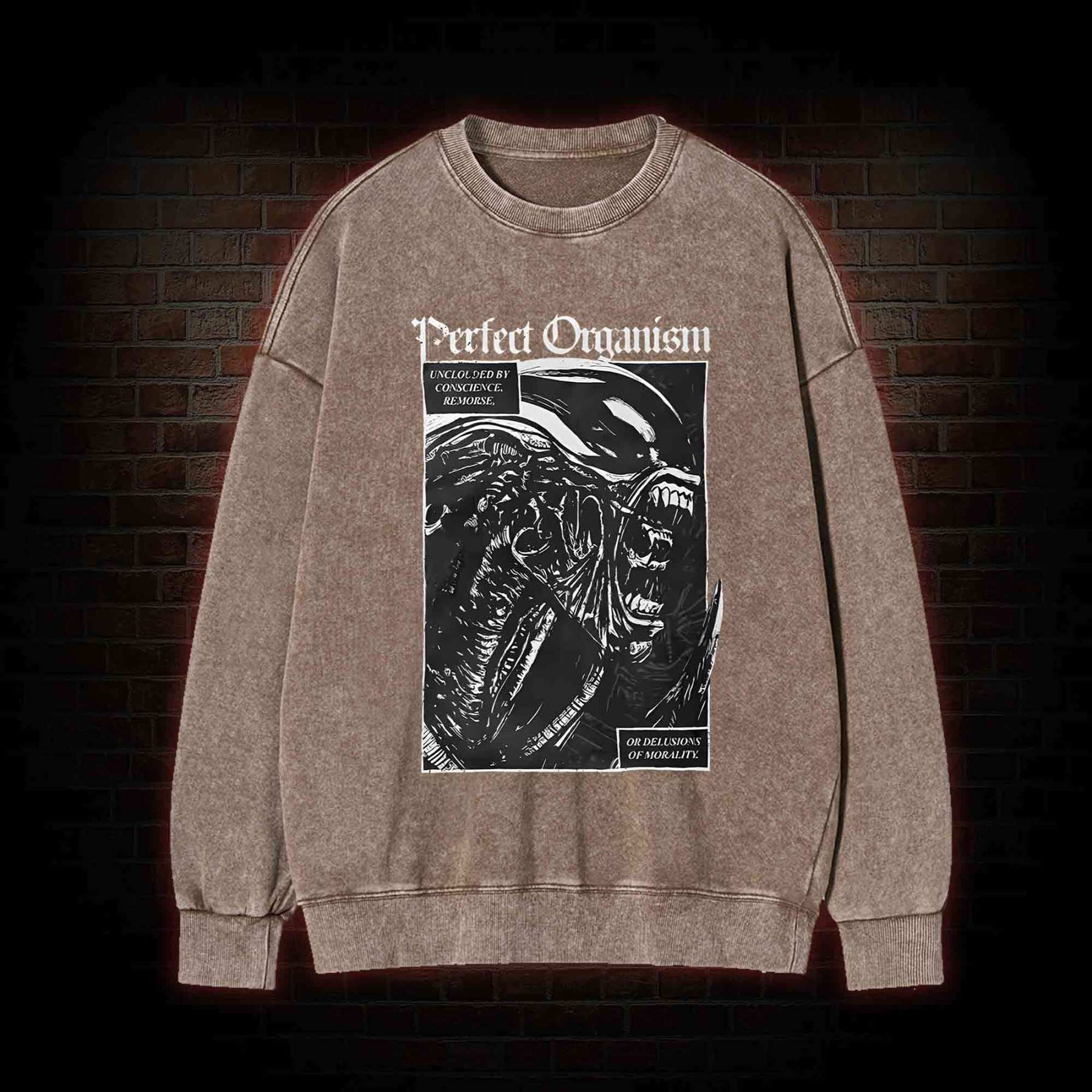 Alien Perfect Organism Washed Sweatshirt