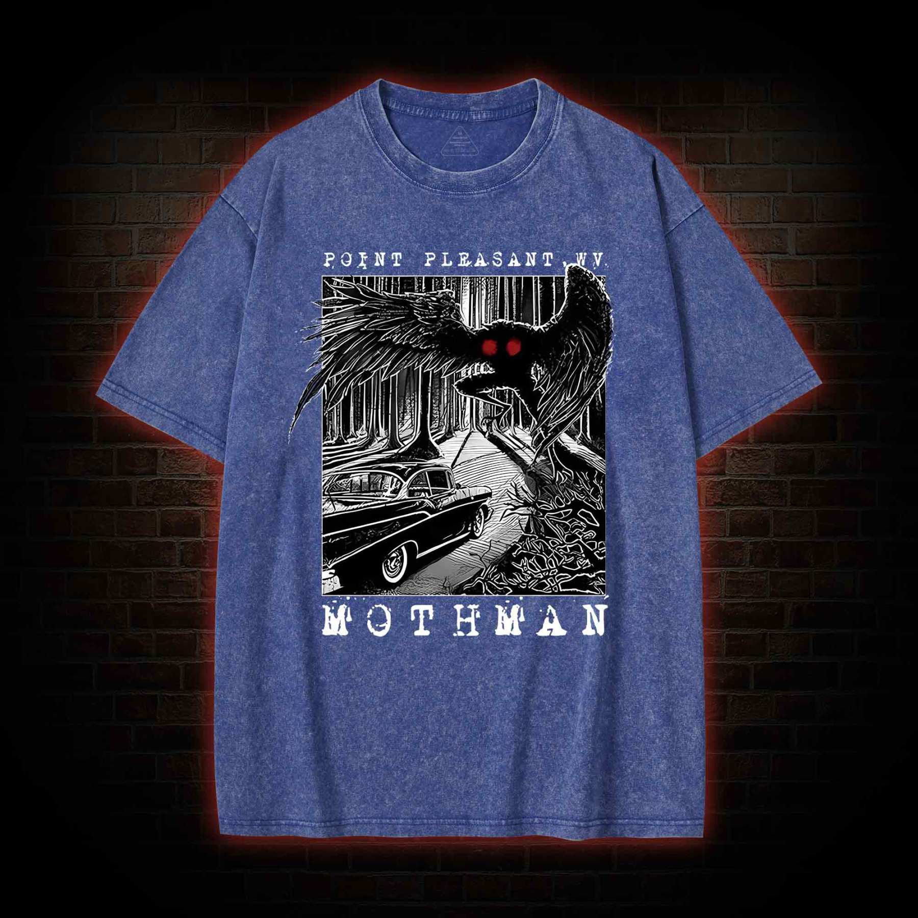 Mothman Encounter Point Pleasant Washed T-shirt