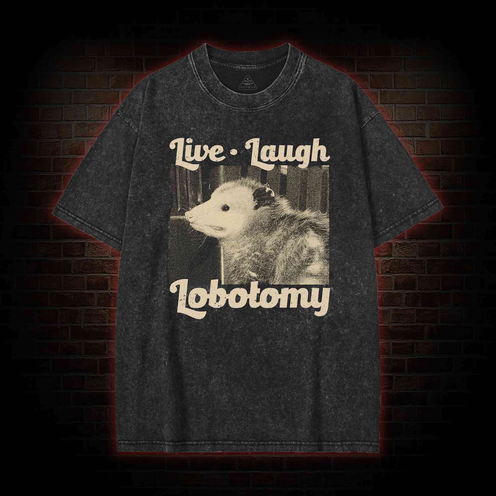 Live Laugh Lobotomy Washed T-shirt