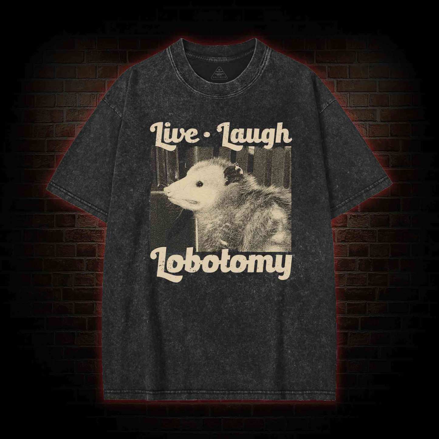 Live Laugh Lobotomy Washed T-shirt