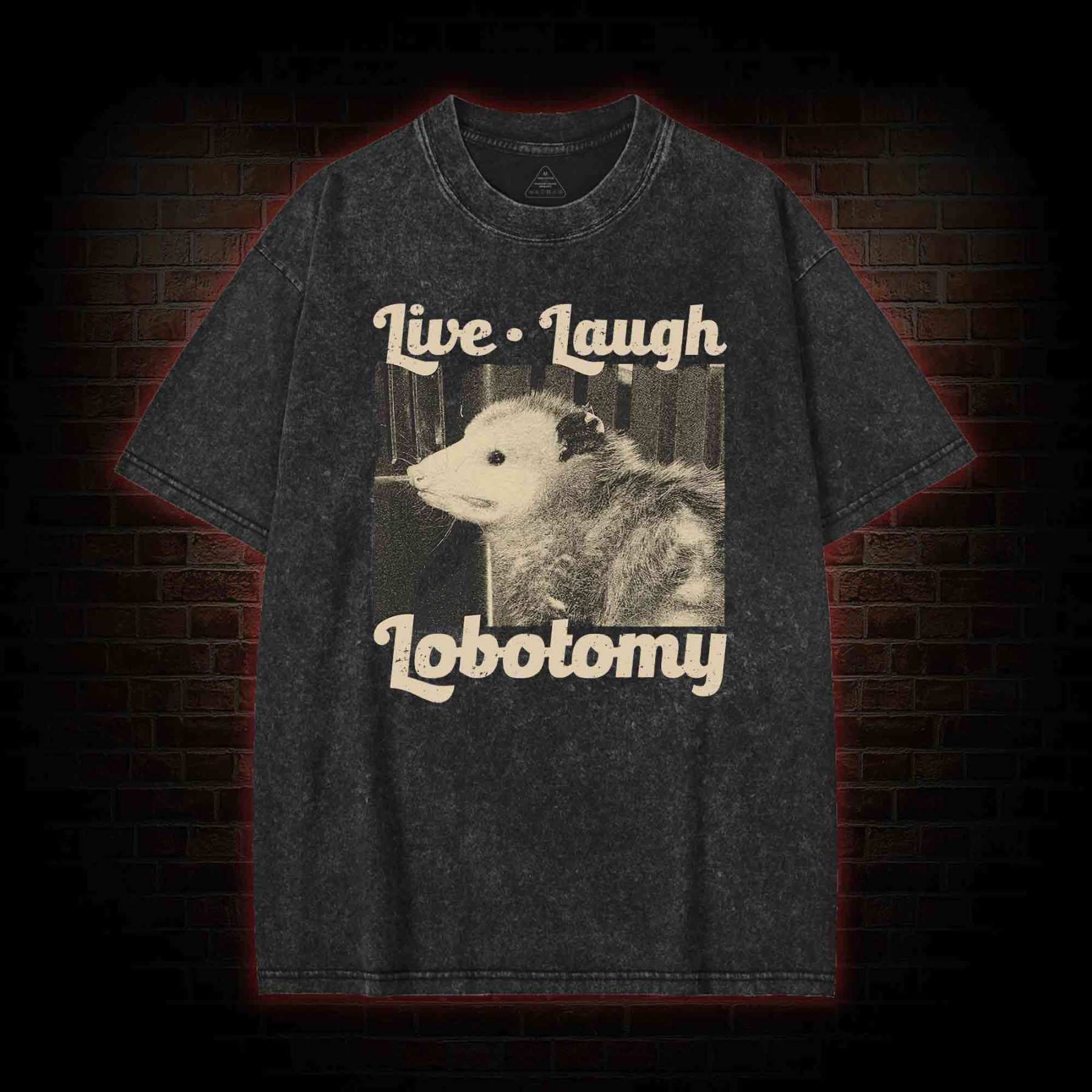 Live Laugh Lobotomy Washed T-shirt
