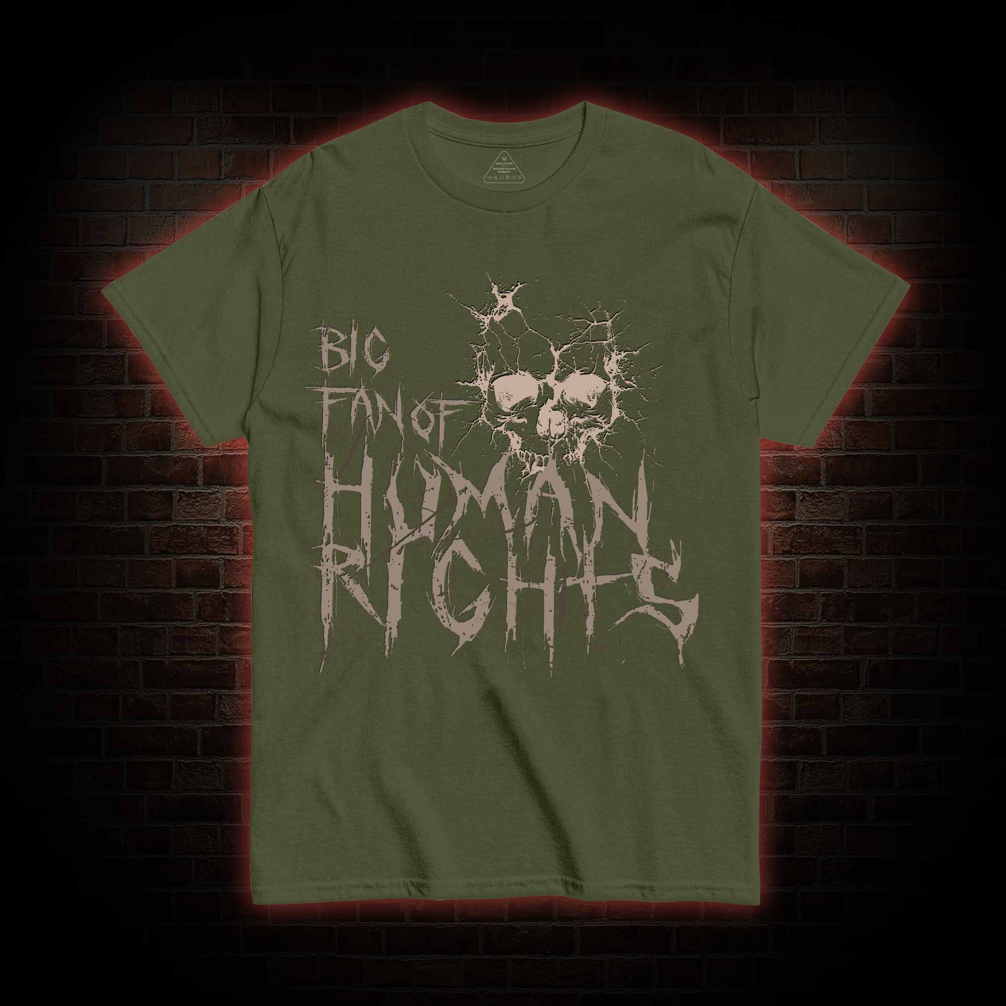 Big Fan of Human Rights T-shirt