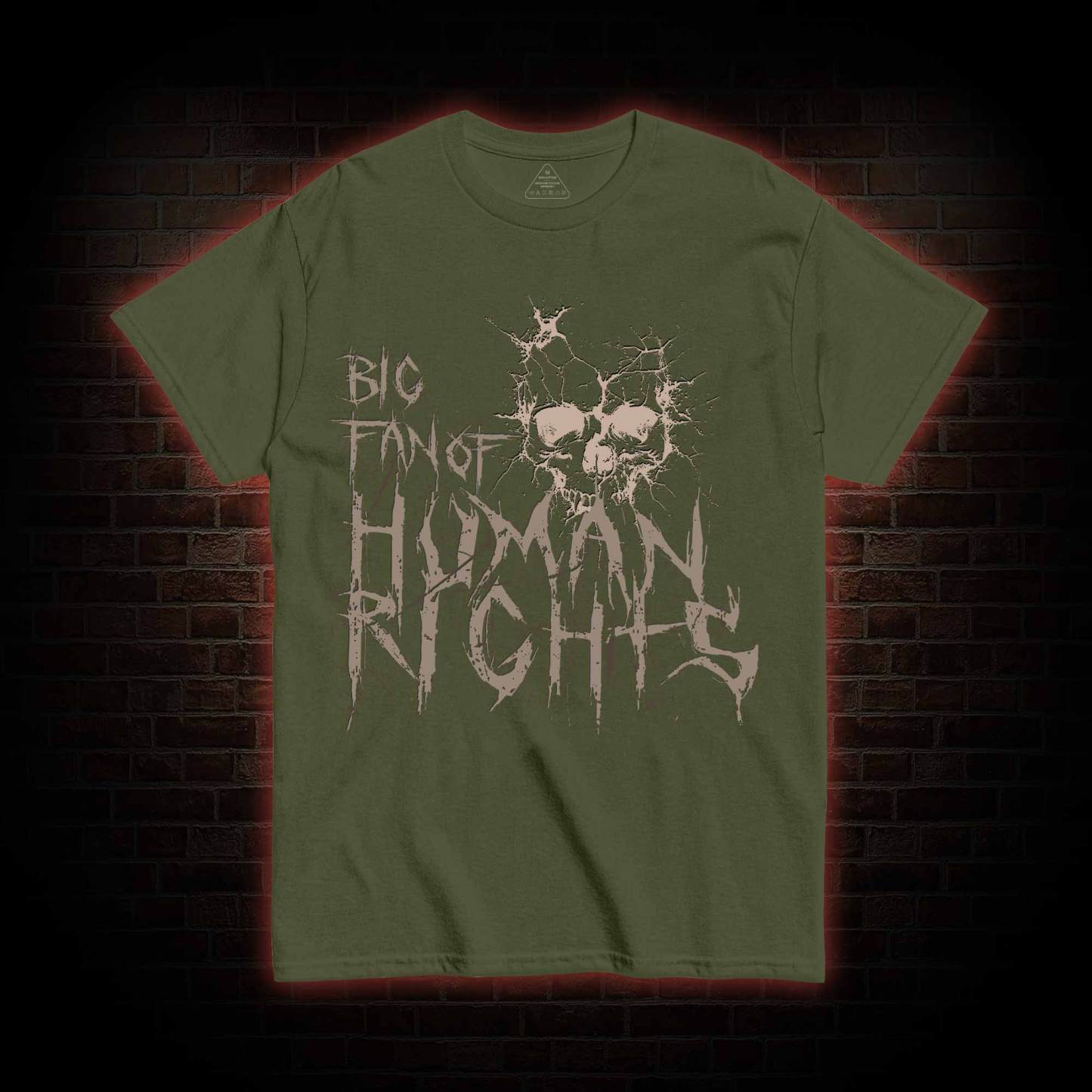 Big Fan of Human Rights T-shirt