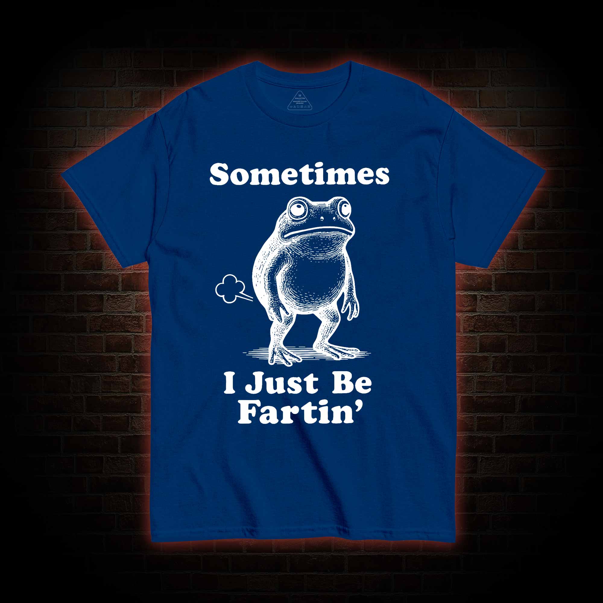 Sometimes I Just be Fartin T-shirt