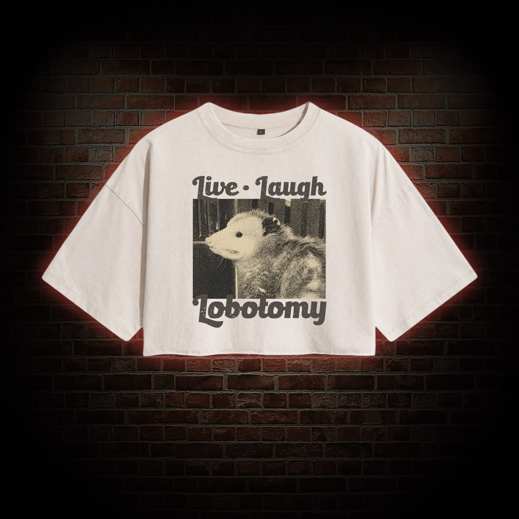 Live Laugh Lobotomy Washed Cropped T-shirts