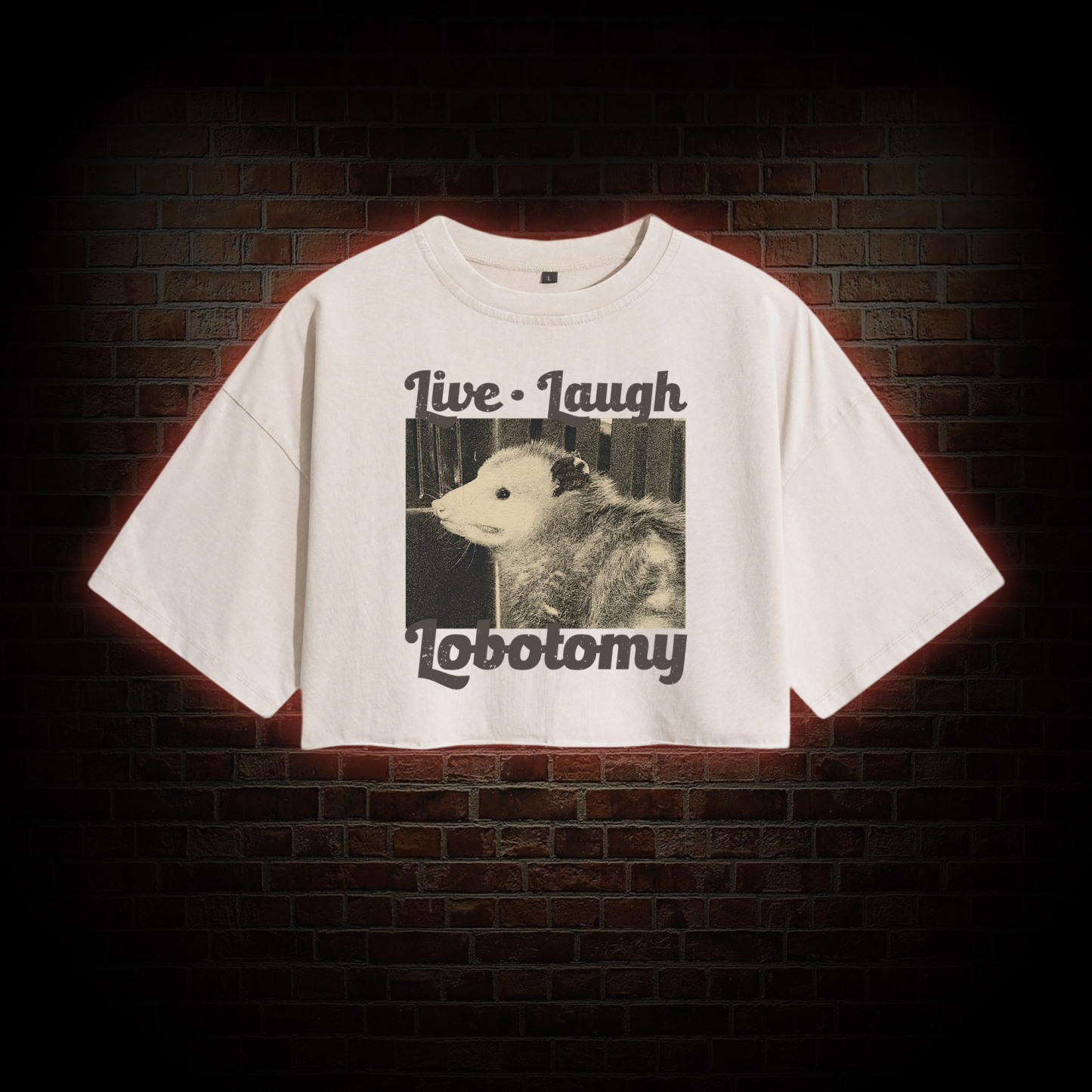 Live Laugh Lobotomy Washed Cropped T-shirts