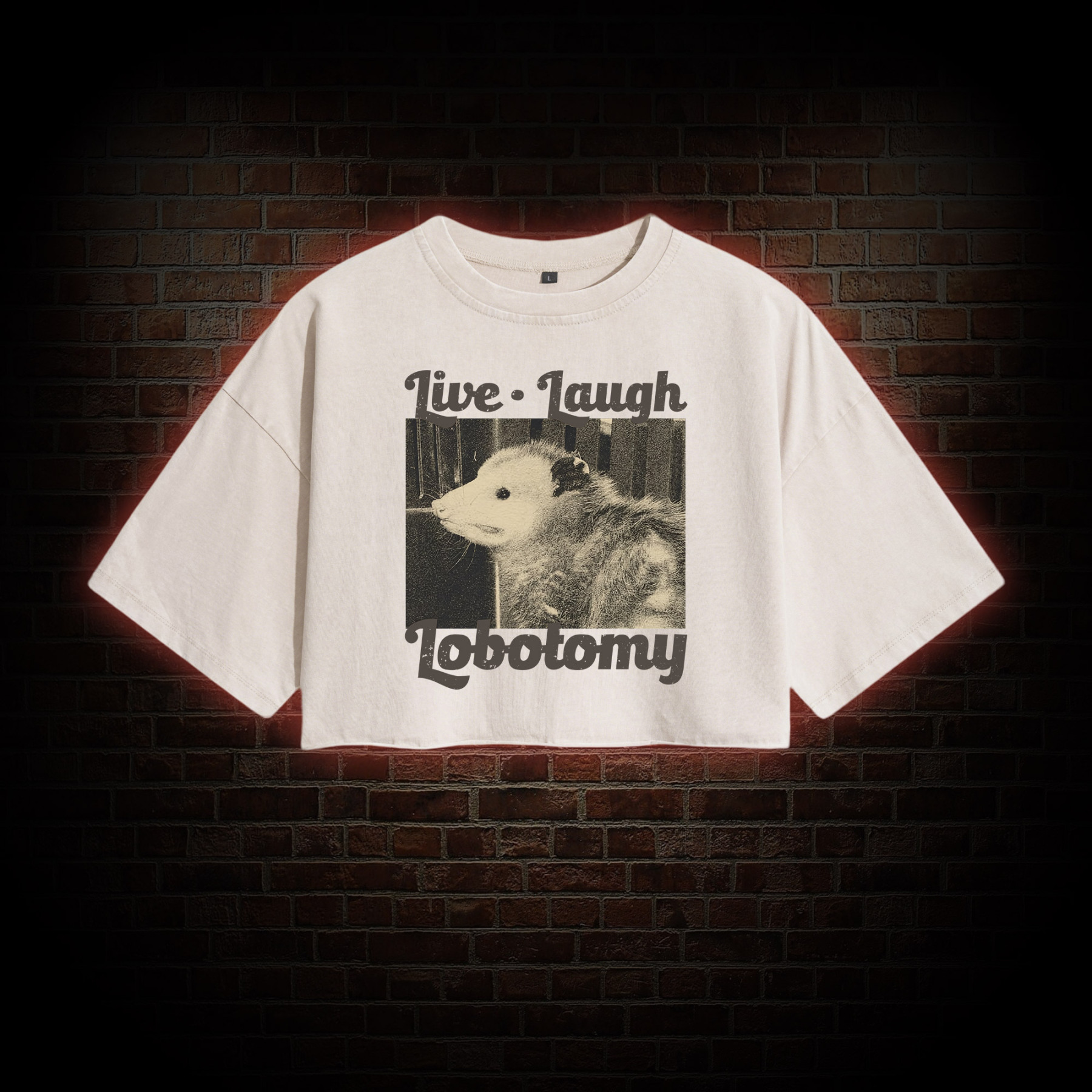 Live Laugh Lobotomy Washed Cropped T-shirts