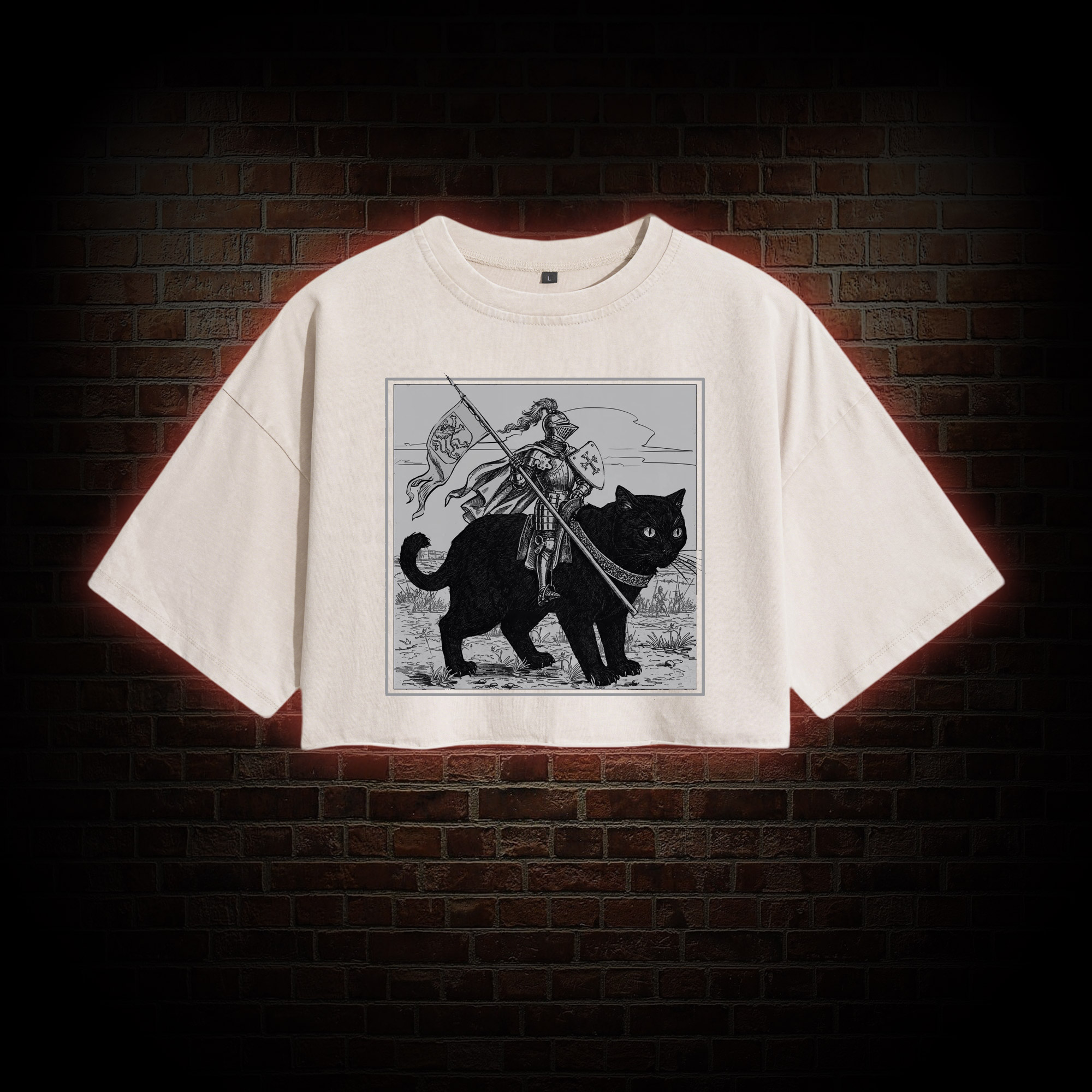 Medieval Knight Washed Cropped T-shirts