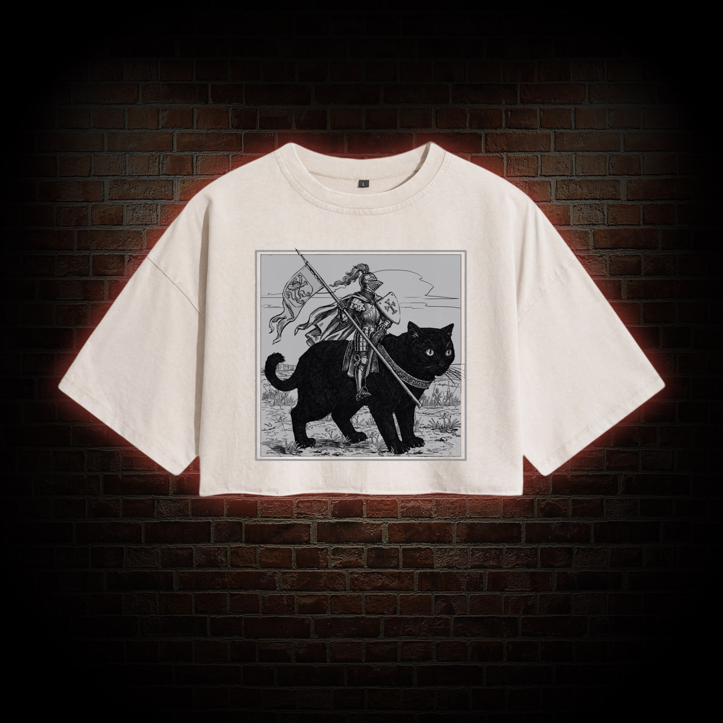 Medieval Knight Washed Cropped T-shirts