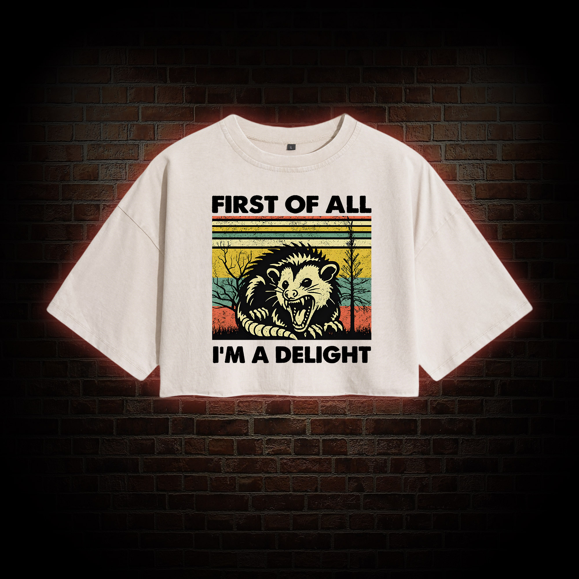 I'm A Delight Washed Cropped T-shirts