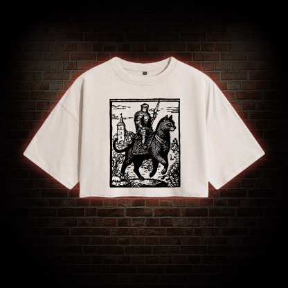 Knight Cat Rider Washed Cropped T-shirts