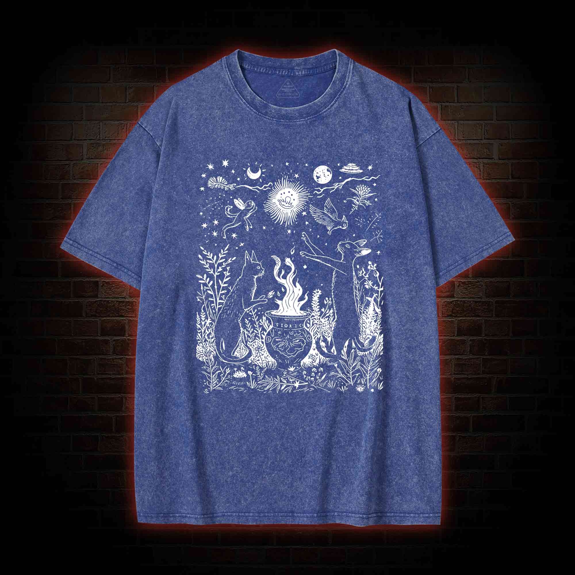 Celestial Cat Washed T-shirt