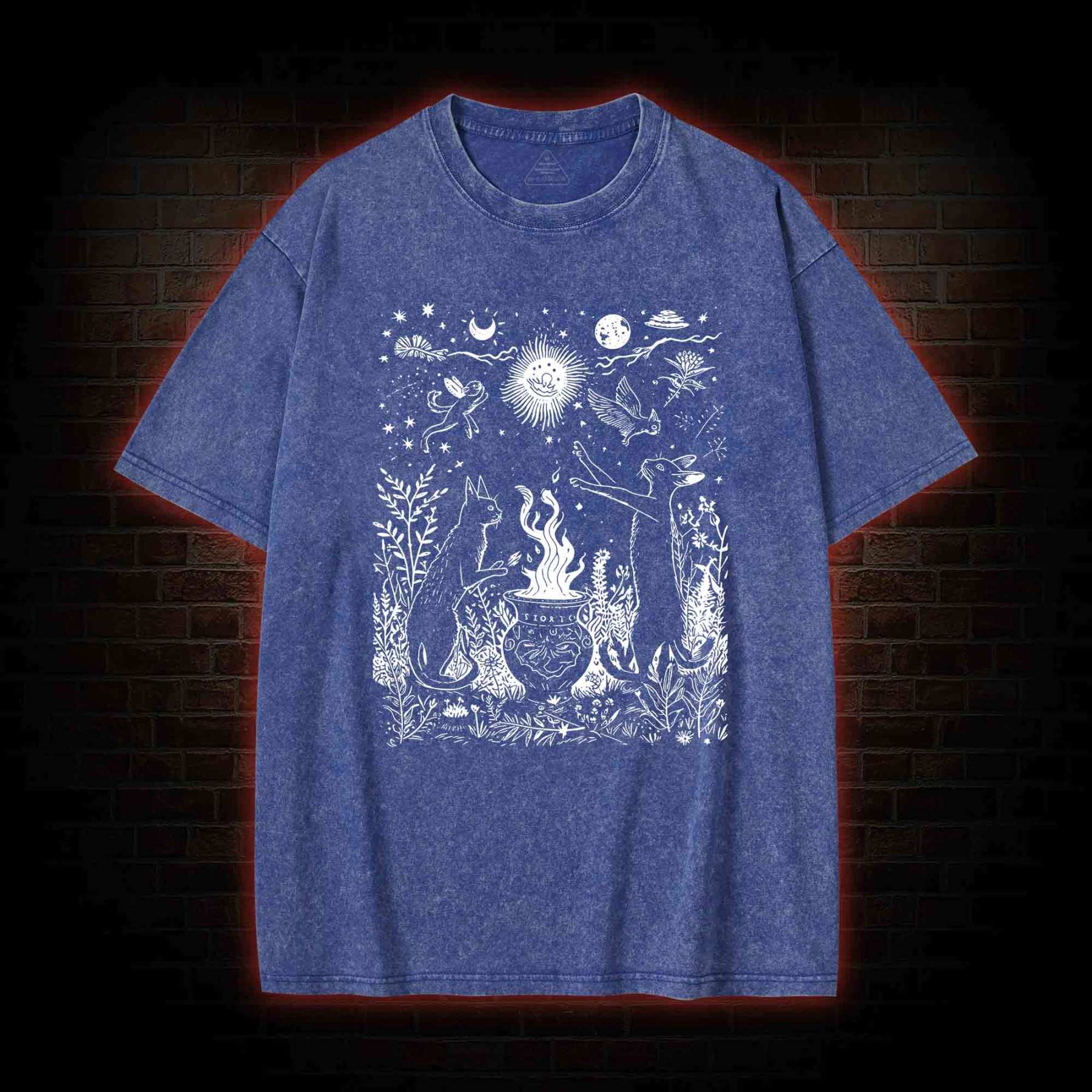 Celestial Cat Washed T-shirt