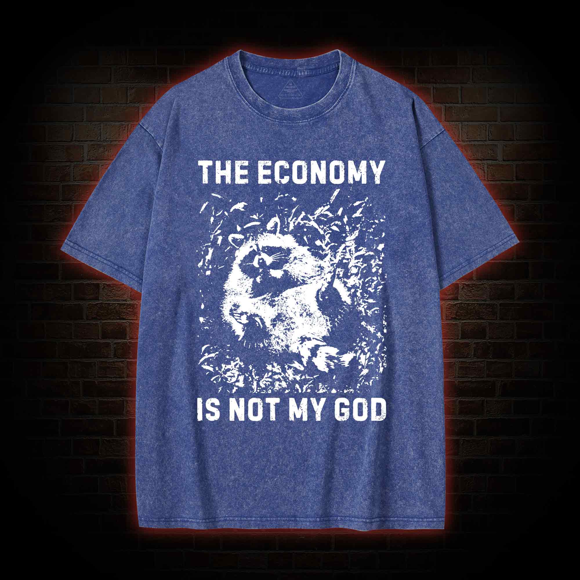 Anarchist Raccoon Economy is Not My God Washed T-shirt