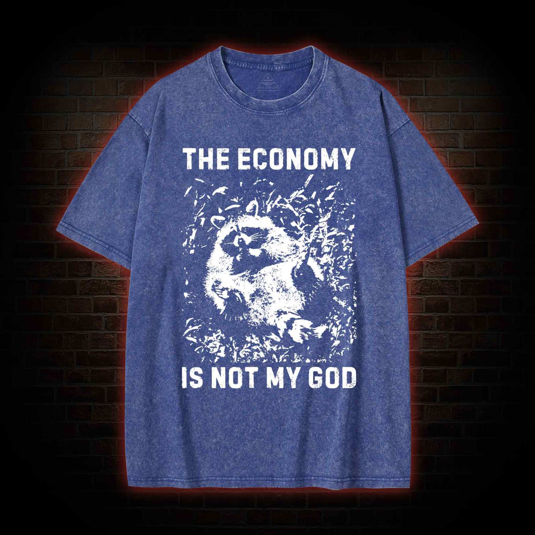 Anarchist Raccoon Economy is Not My God Washed T-shirt