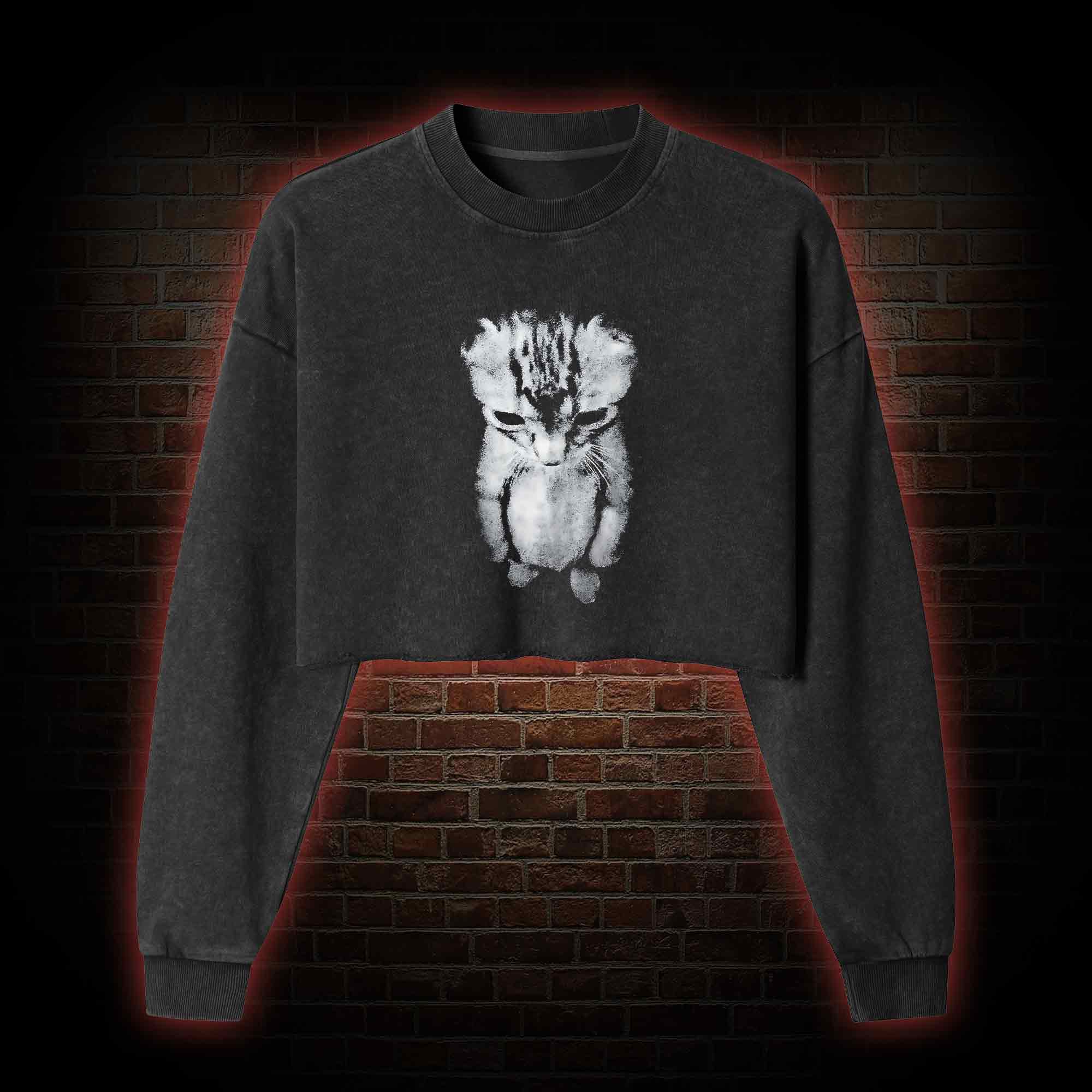 Sad Kitten Washed Cropped Sweatshirts