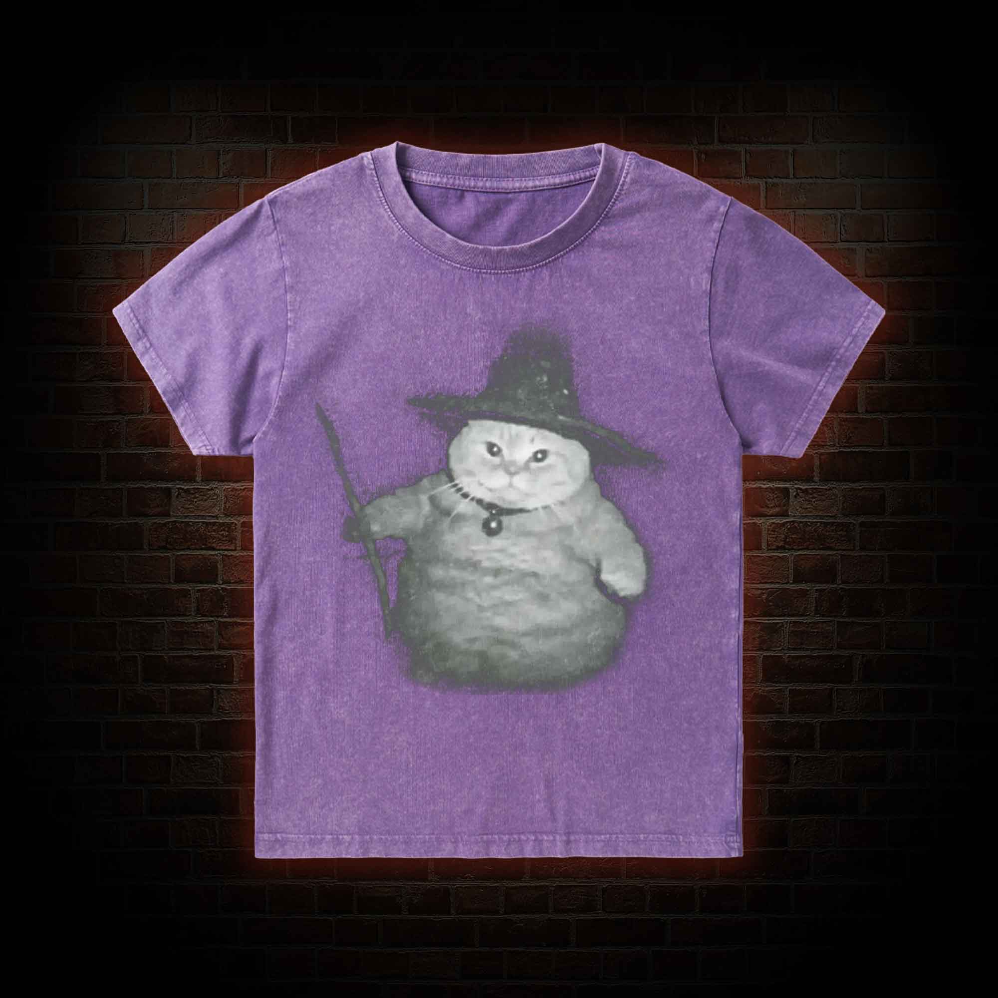 Wizard Cat Kid Washed T-Shirt