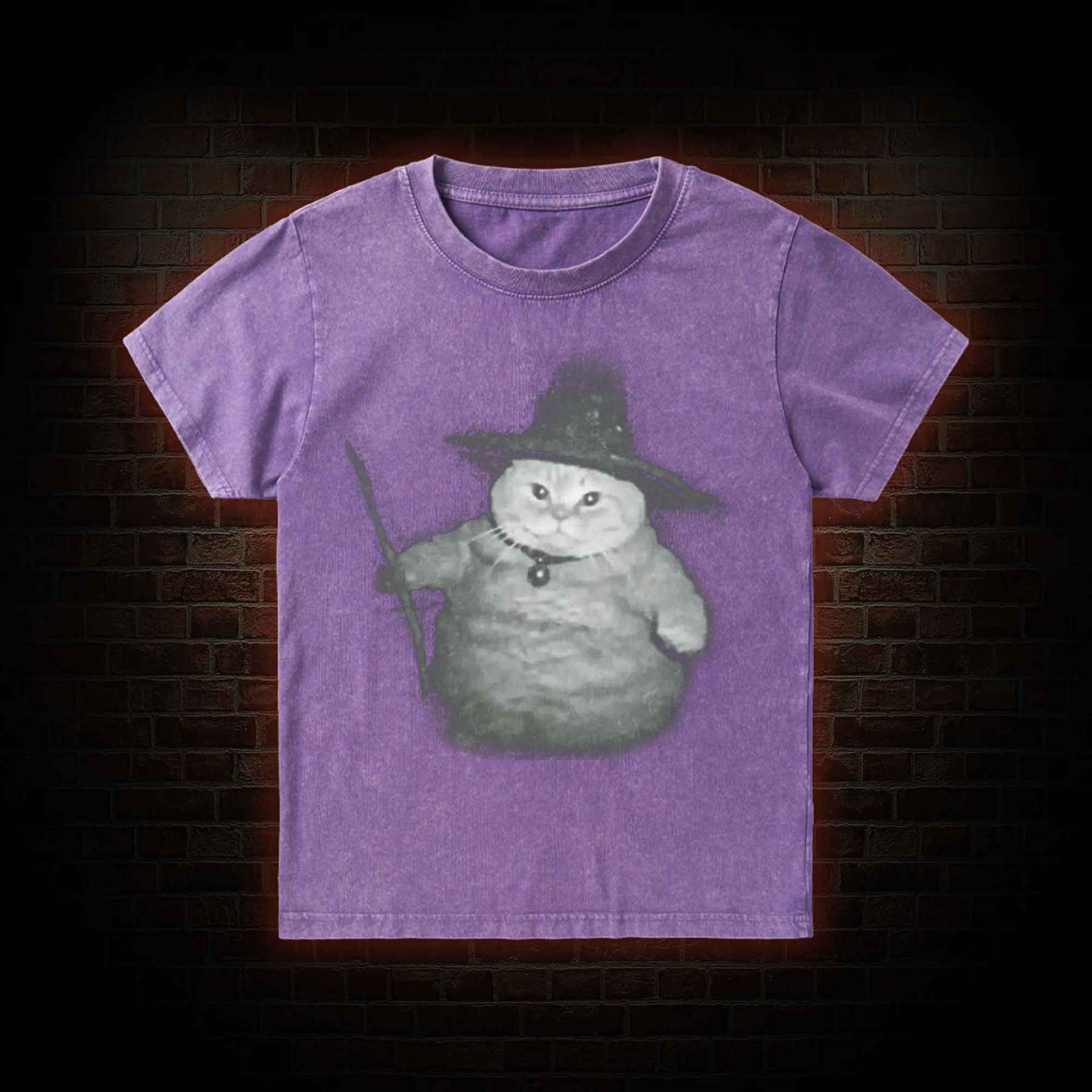 Wizard Cat Kid Washed T-Shirt