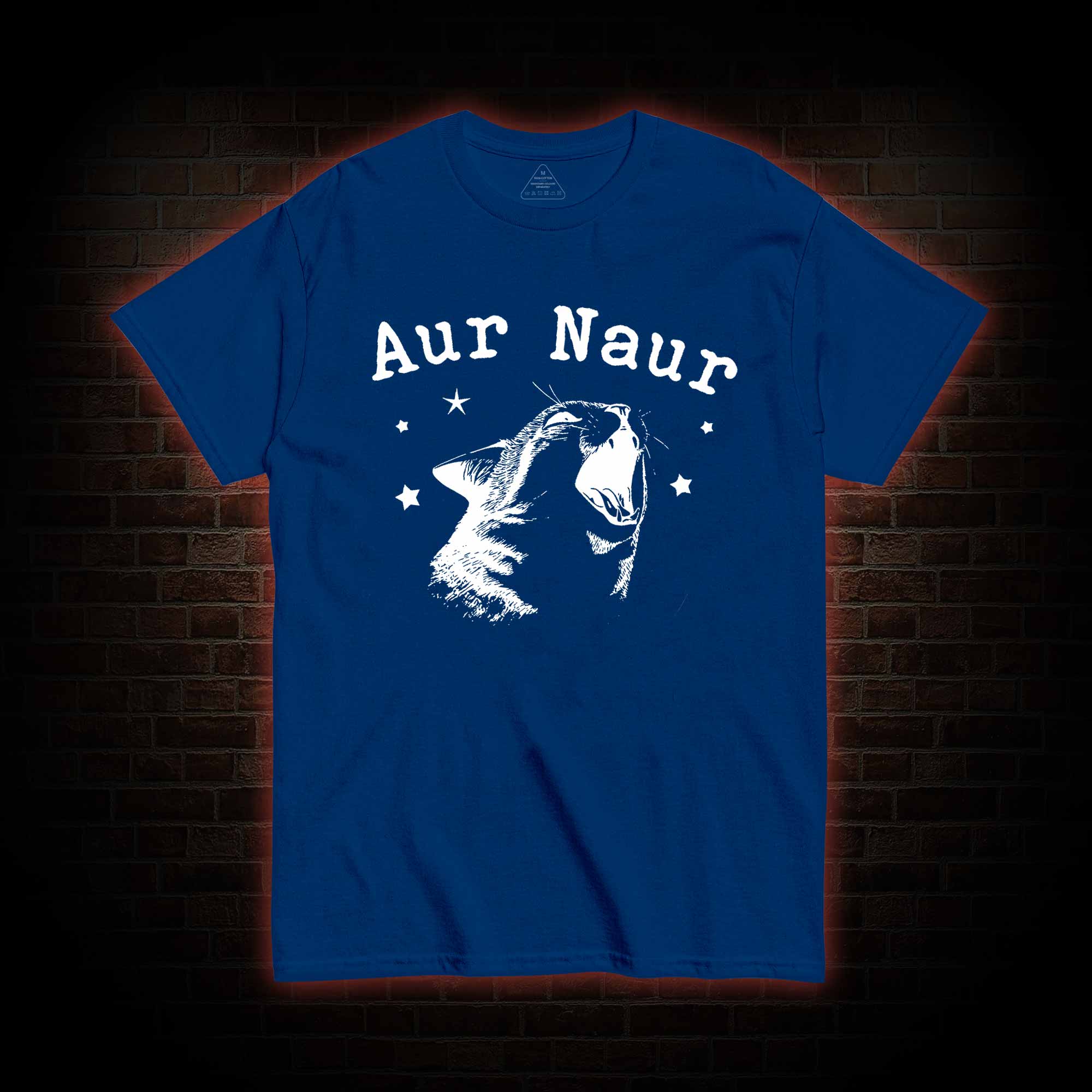 Aur Naur Cat T-shirt