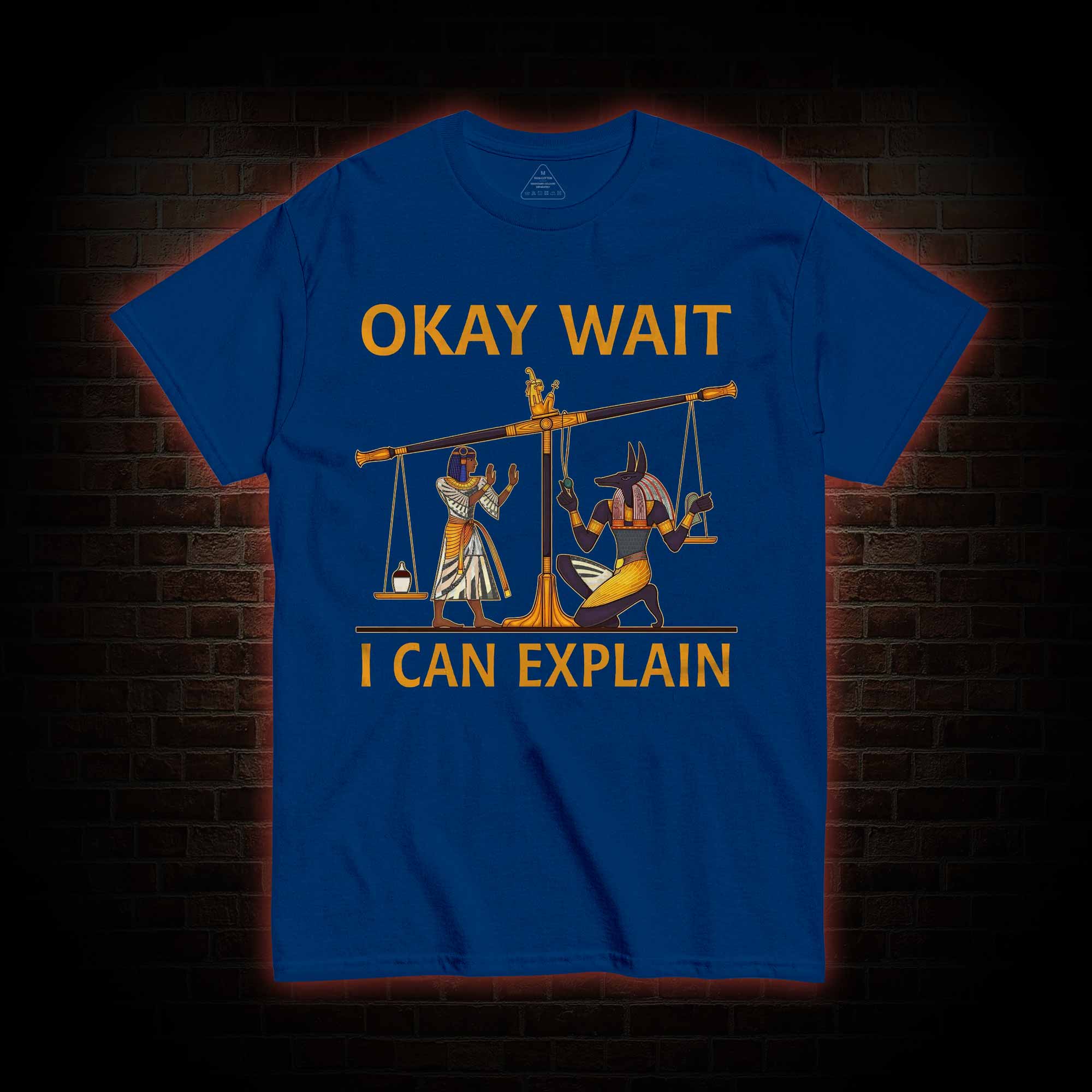 Okay Wait I can Explain T-shirt