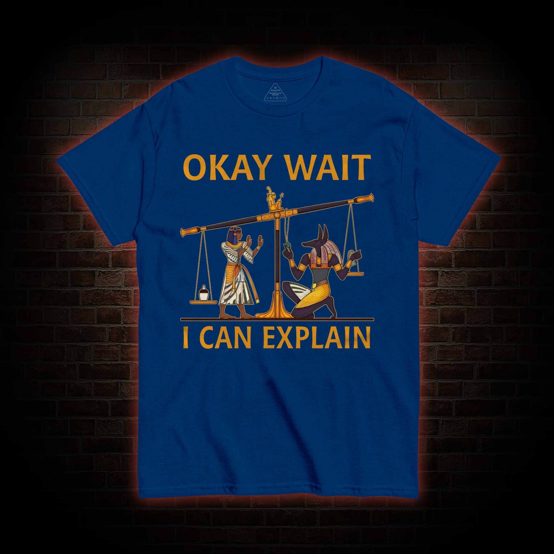 Okay Wait I can Explain T-shirt