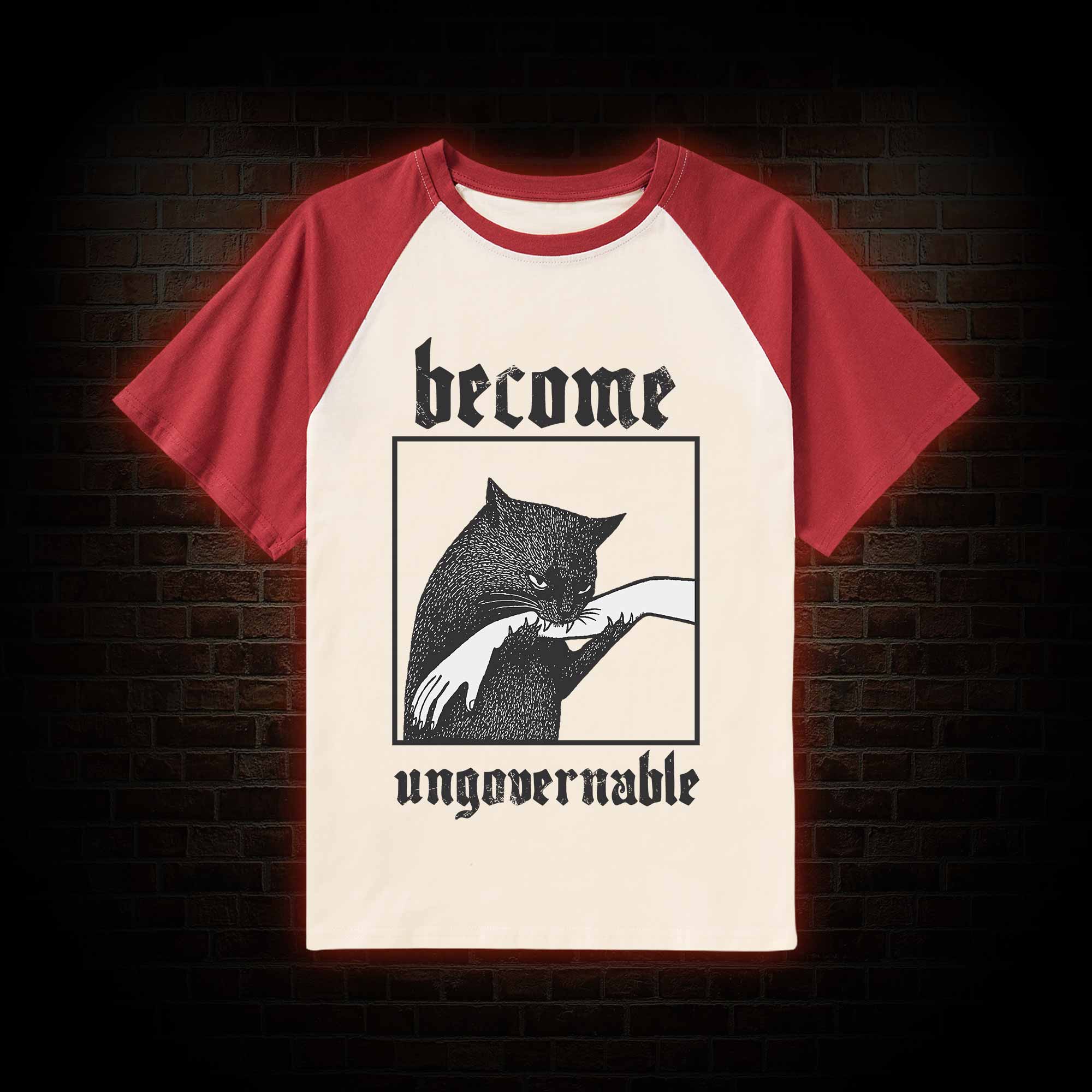 Silly Cats Raglan T-shirt