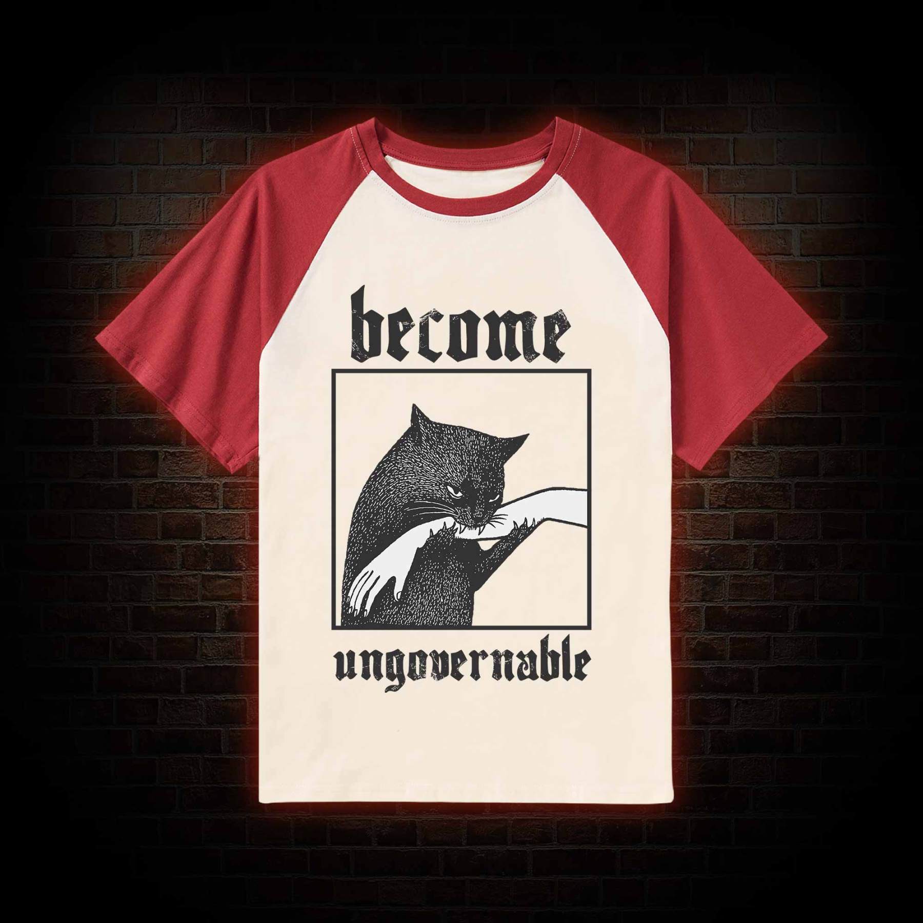 Silly Cats Raglan T-shirt