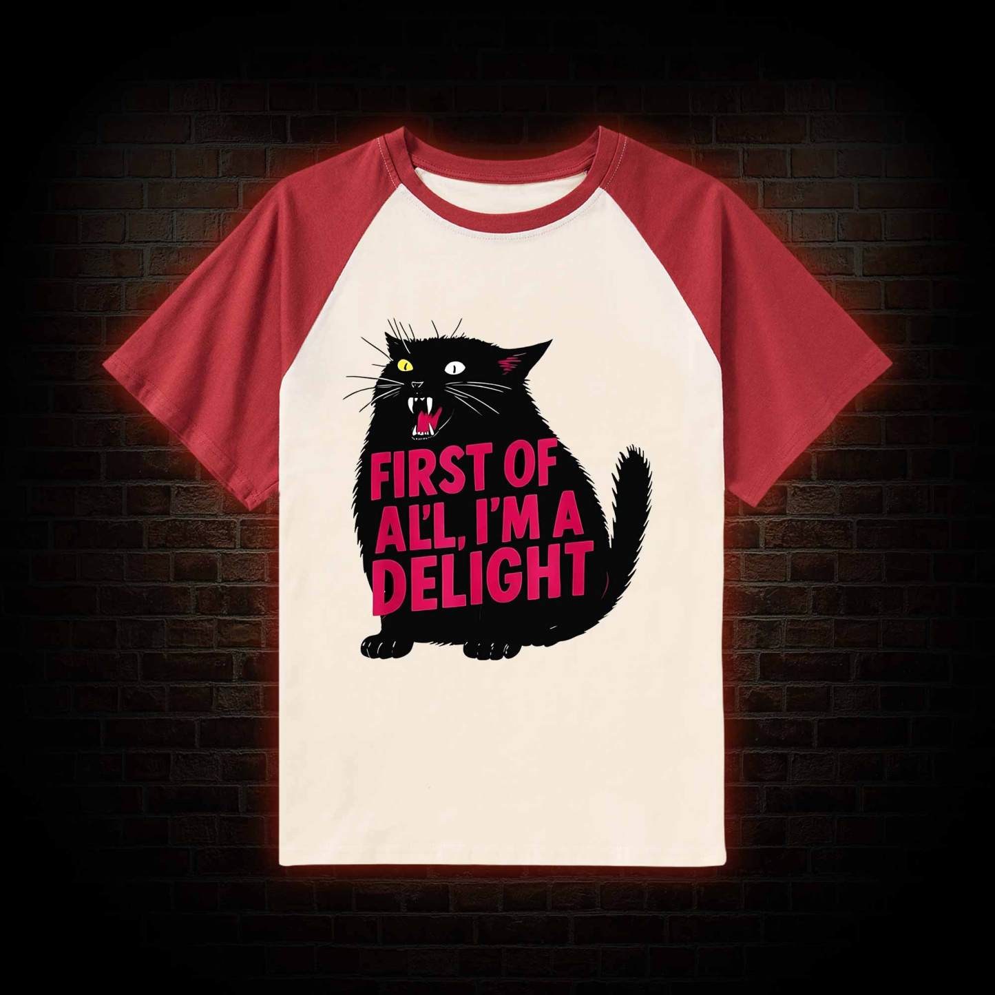 First of all I'm a Delight Raglan T-shirt