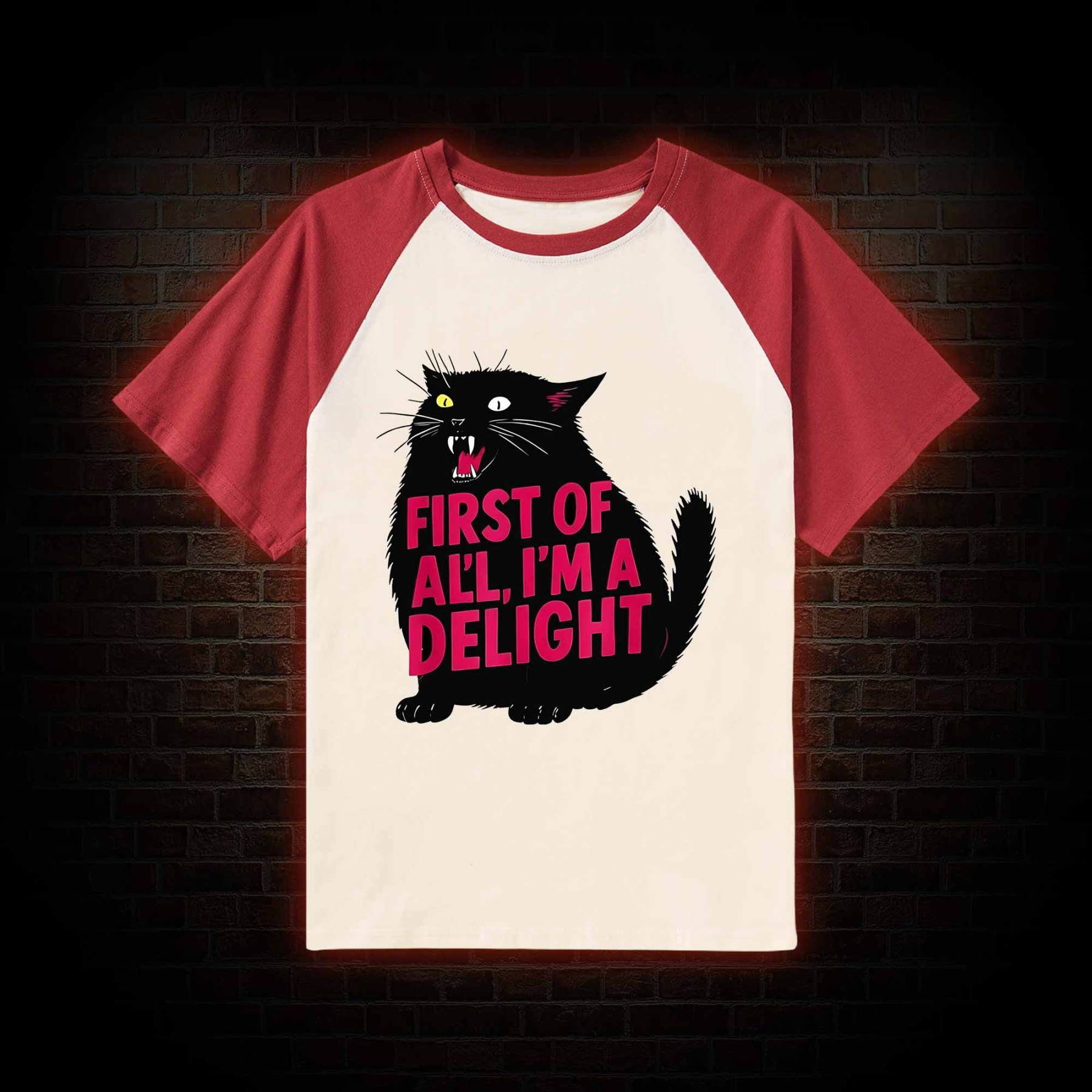 First of all I'm a Delight Raglan T-shirt