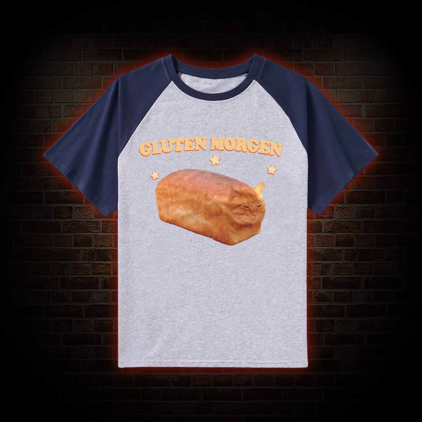 Silly Cats Raglan T-shirt