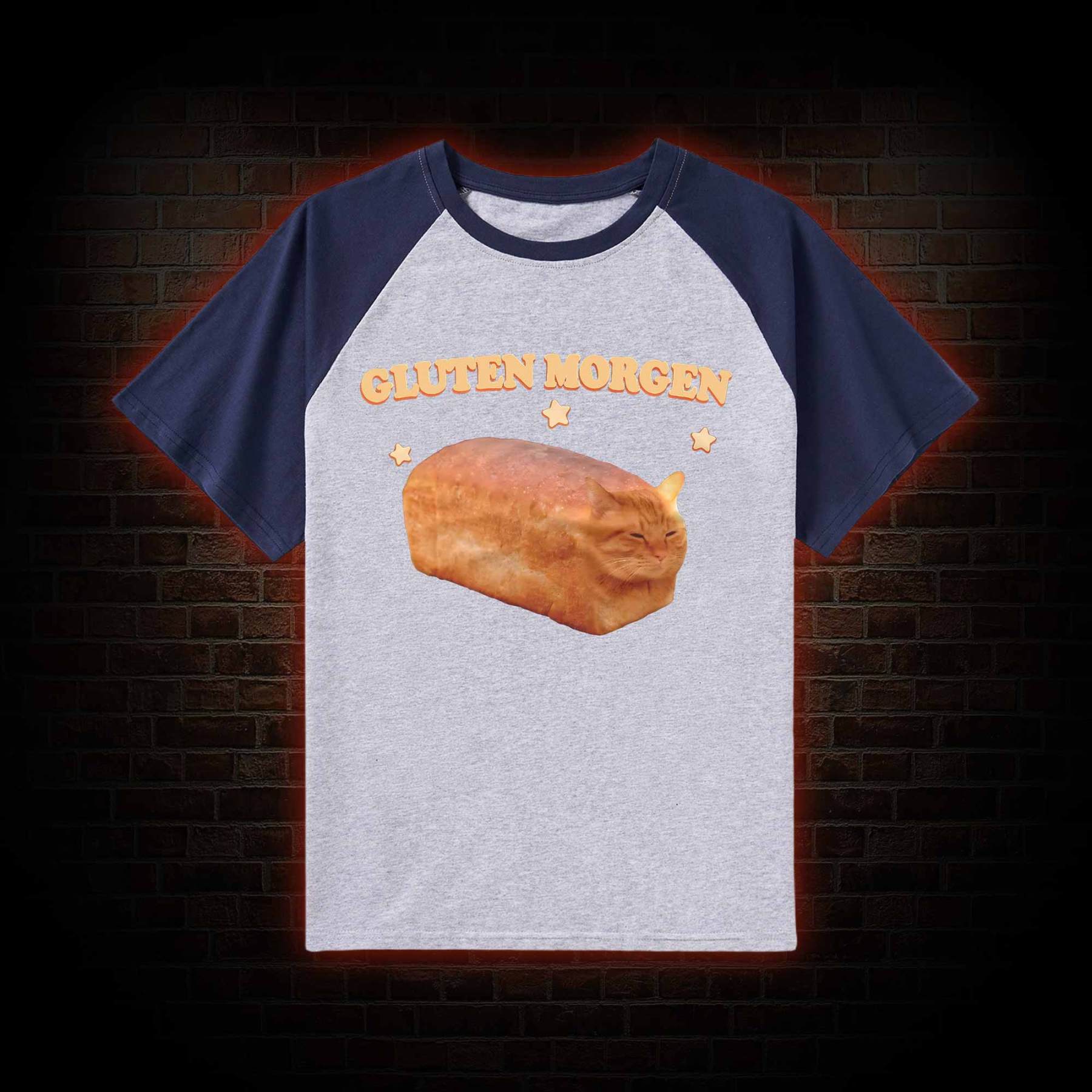 Silly Cats Raglan T-shirt