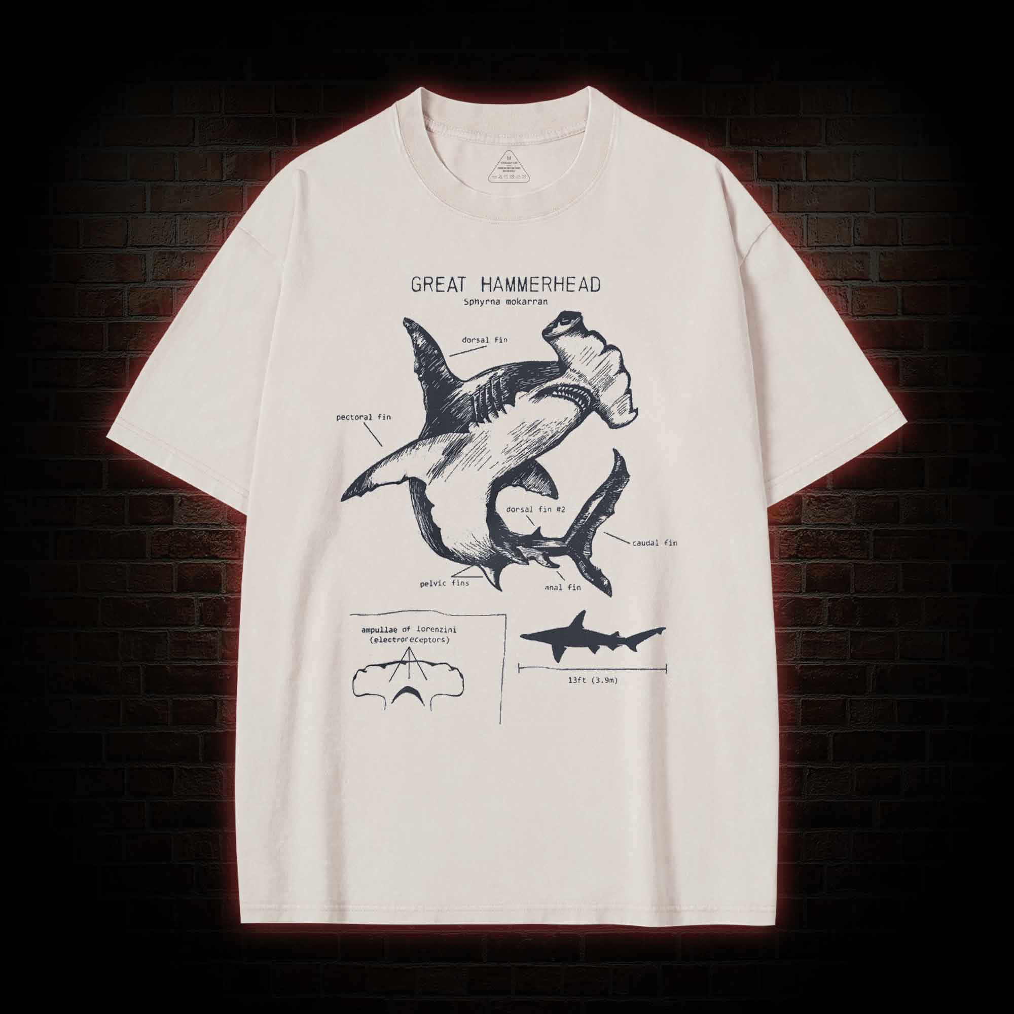 Great Hammerhead Anatomy Washed T-shirt