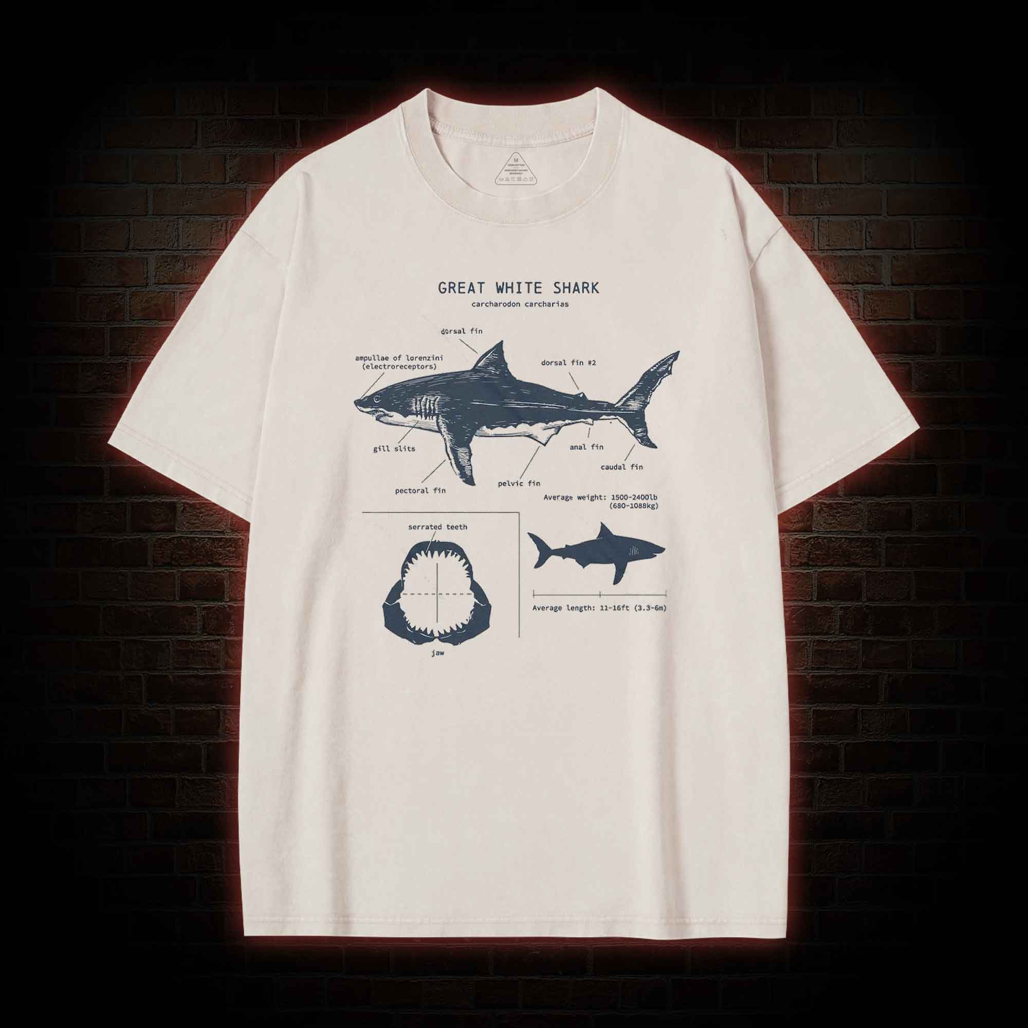 Great White Shark Biology Washed T-shirt