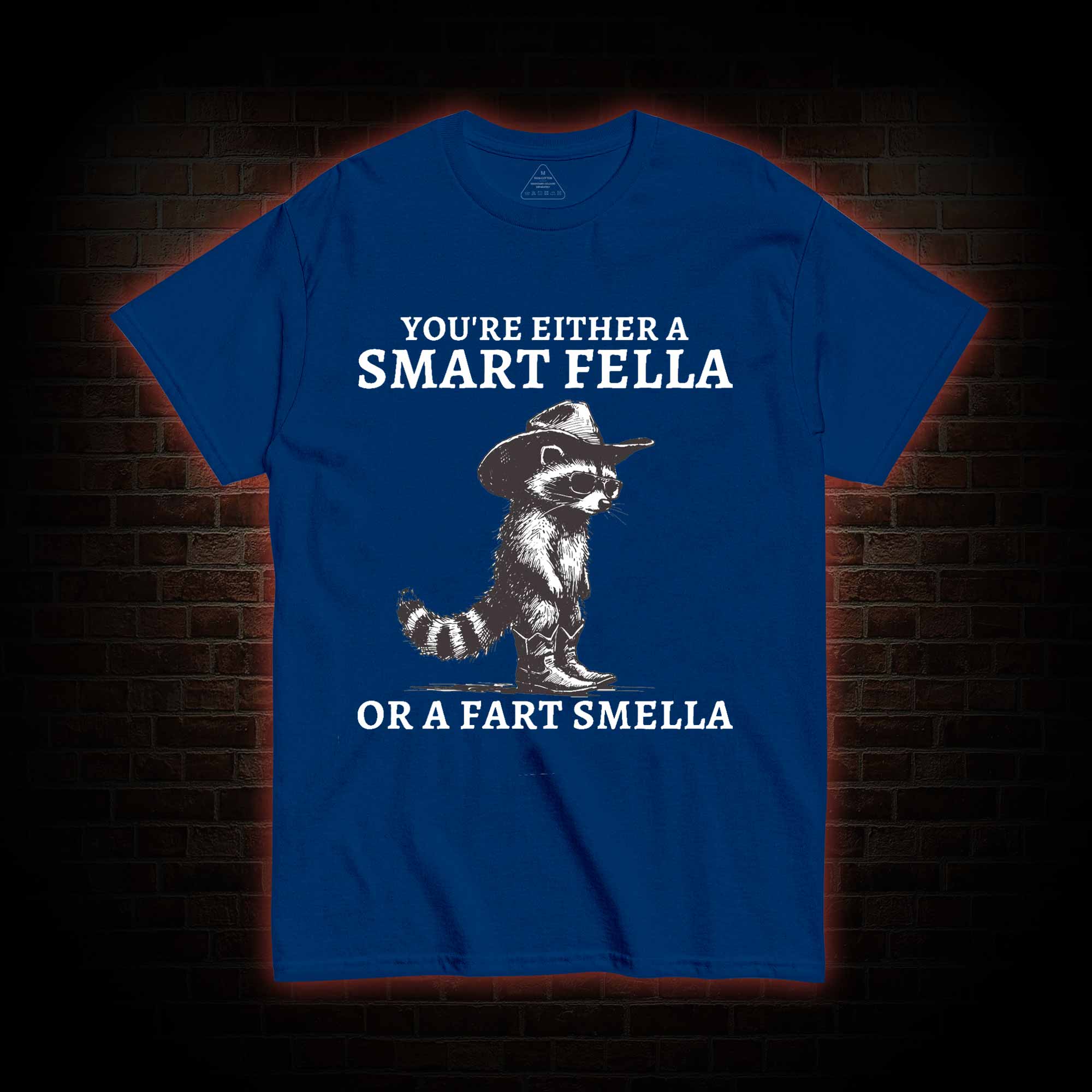 You're Either a Smart Fella or a  Fart Smella T-shirt