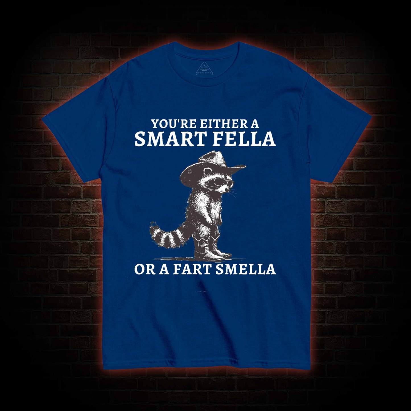 You're Either a Smart Fella or a  Fart Smella T-shirt