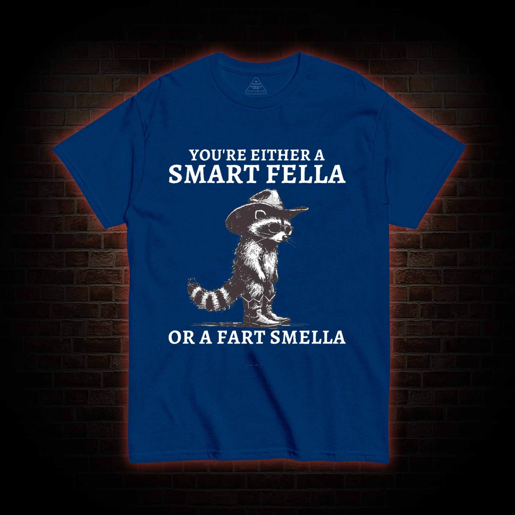 You're Either a Smart Fella or a  Fart Smella T-shirt