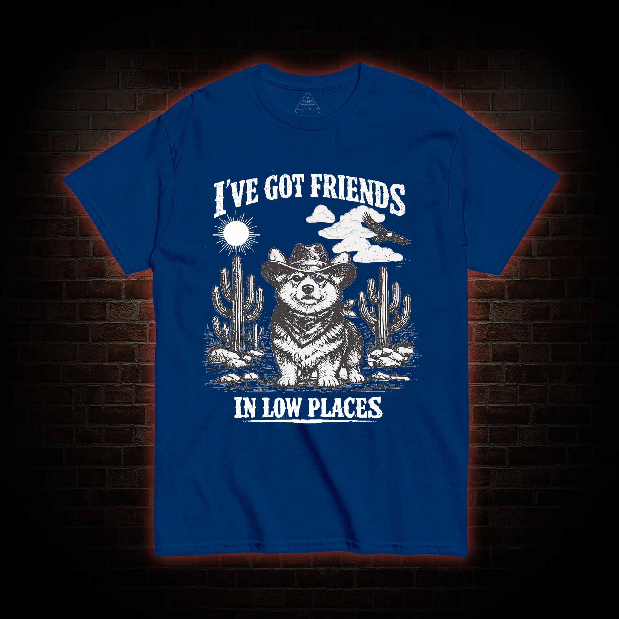 I've Got Friends in Low Places T-shirt