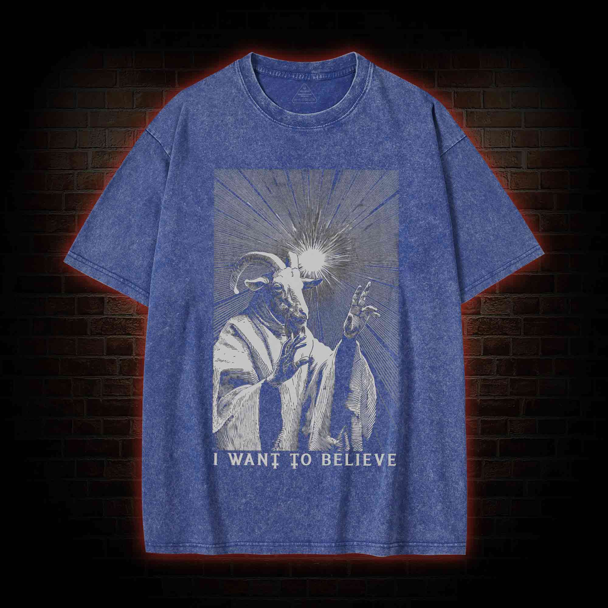 I Want to Believe Goat Washed T-shirt