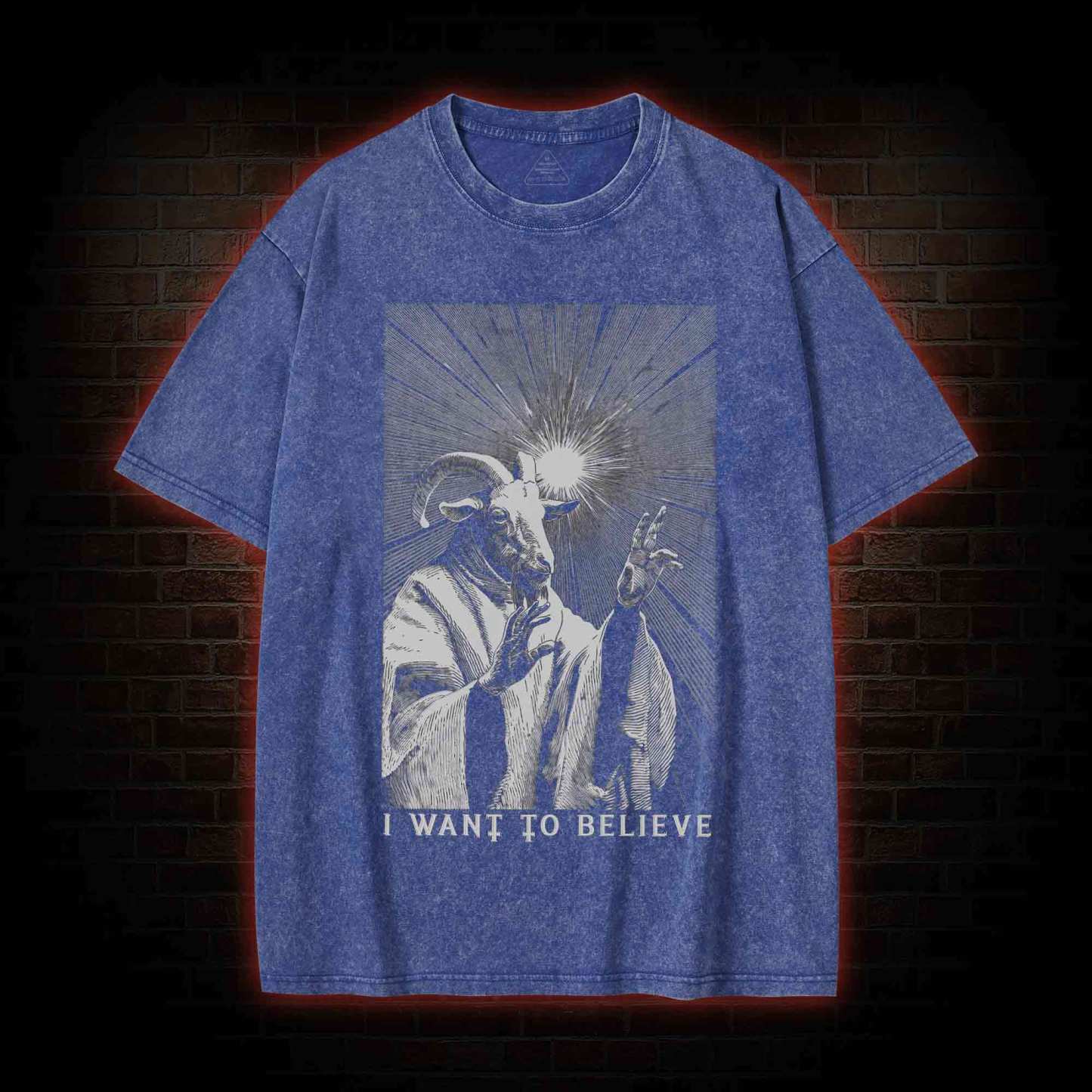I Want to Believe Goat Washed T-shirt