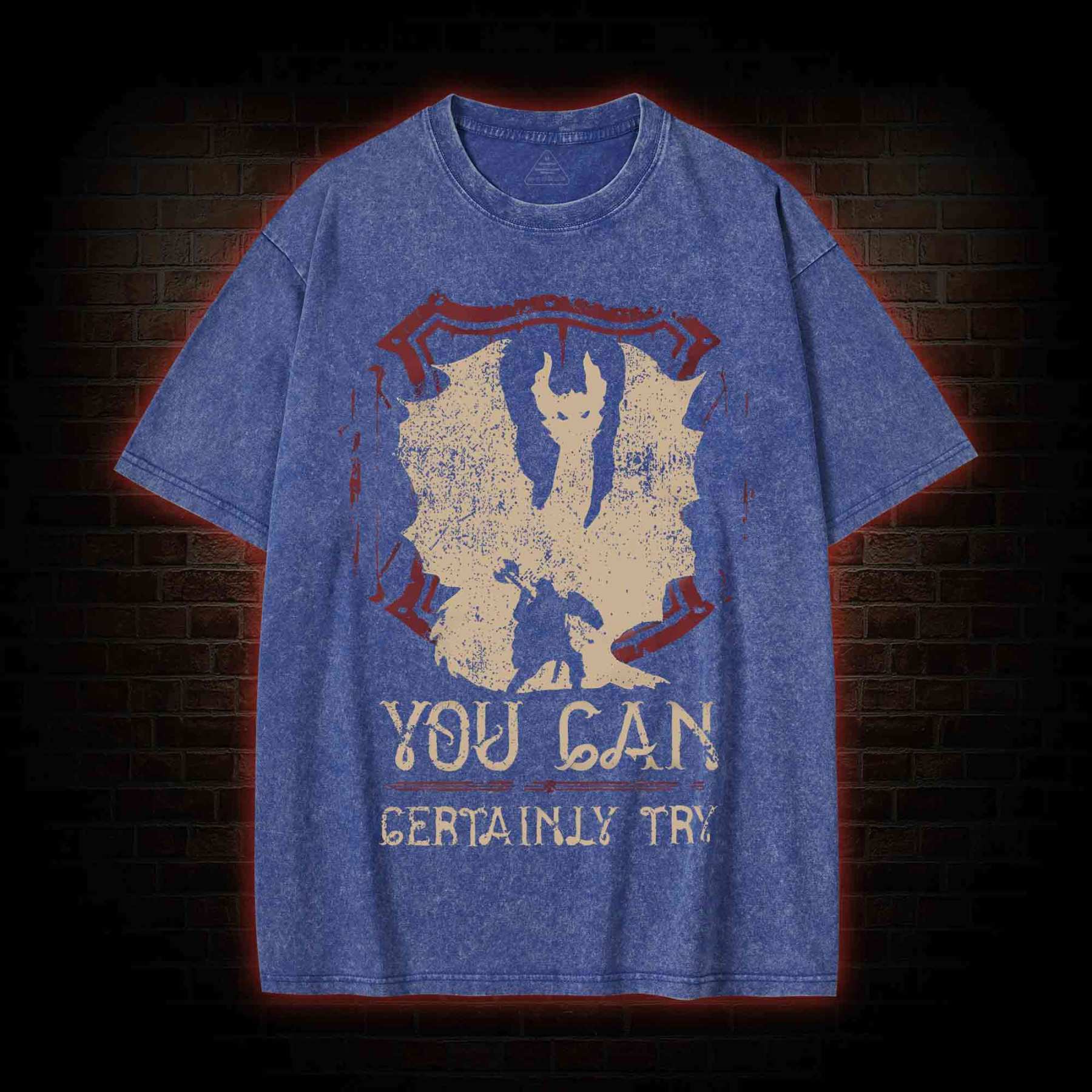 You Can Certainly Try Washed T-shirt