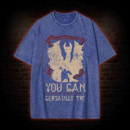 You Can Certainly Try Washed T-shirt