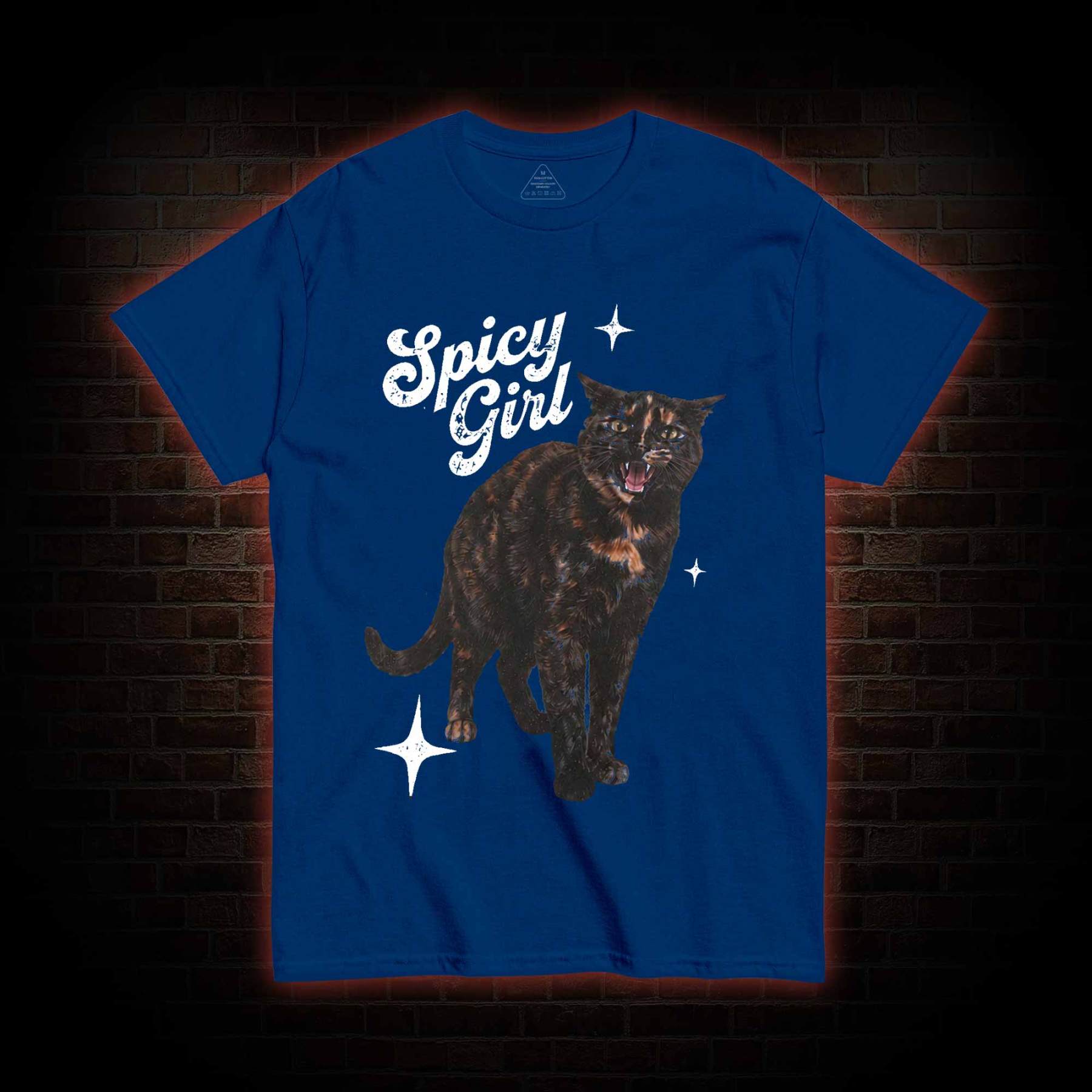Spicy Girl  T-shirt
