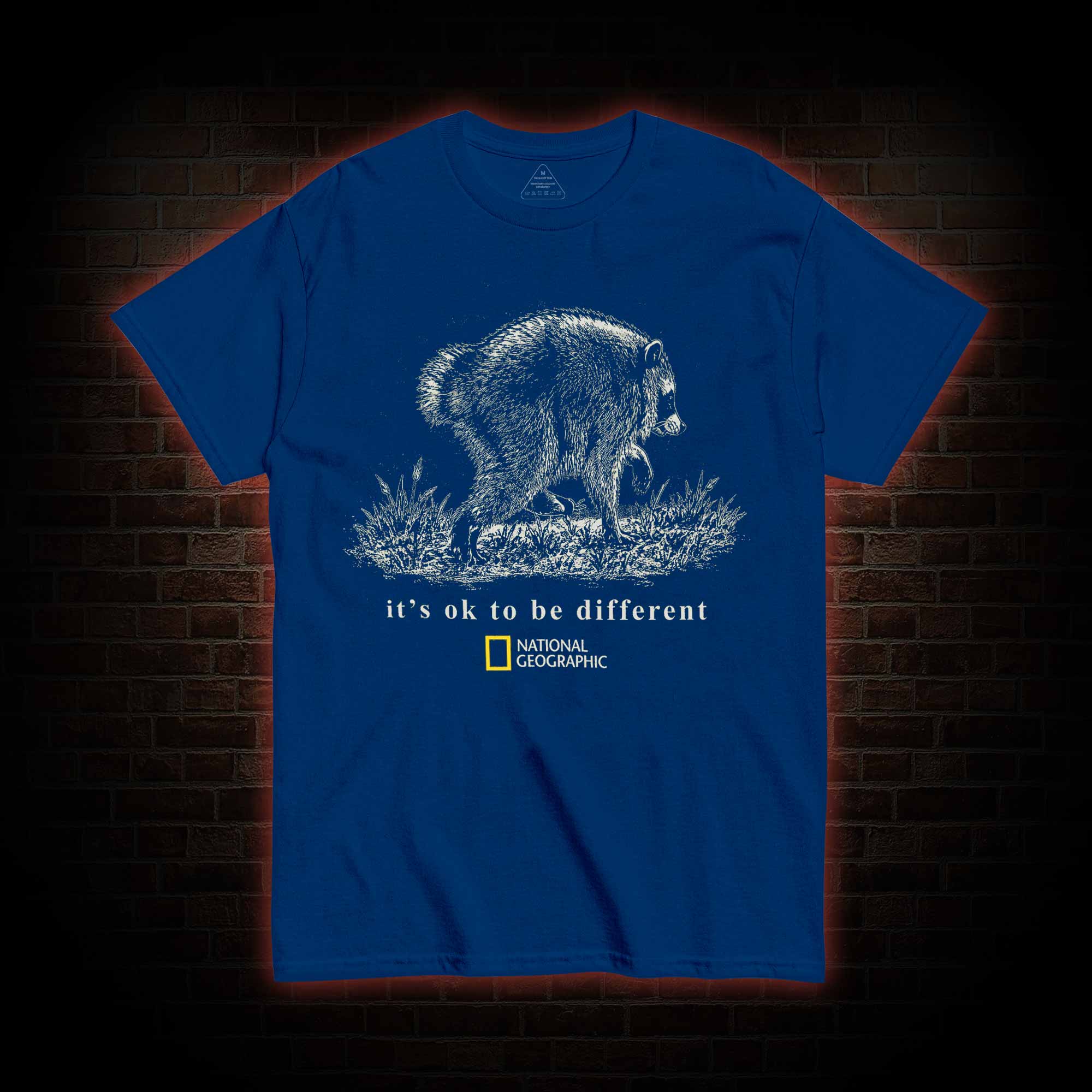 It's Ok to be Different Jimothy  T-shirt