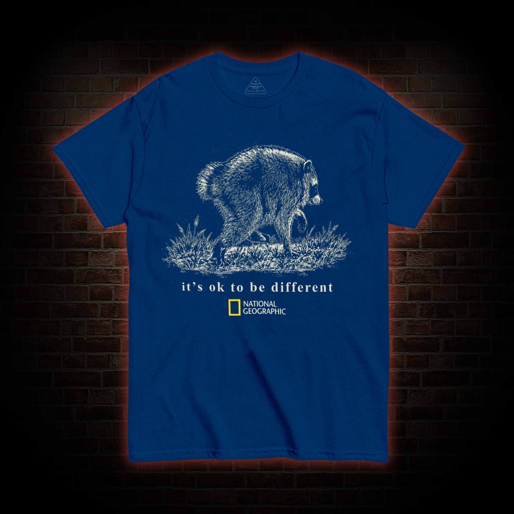 It's Ok to be Different Jimothy  T-shirt
