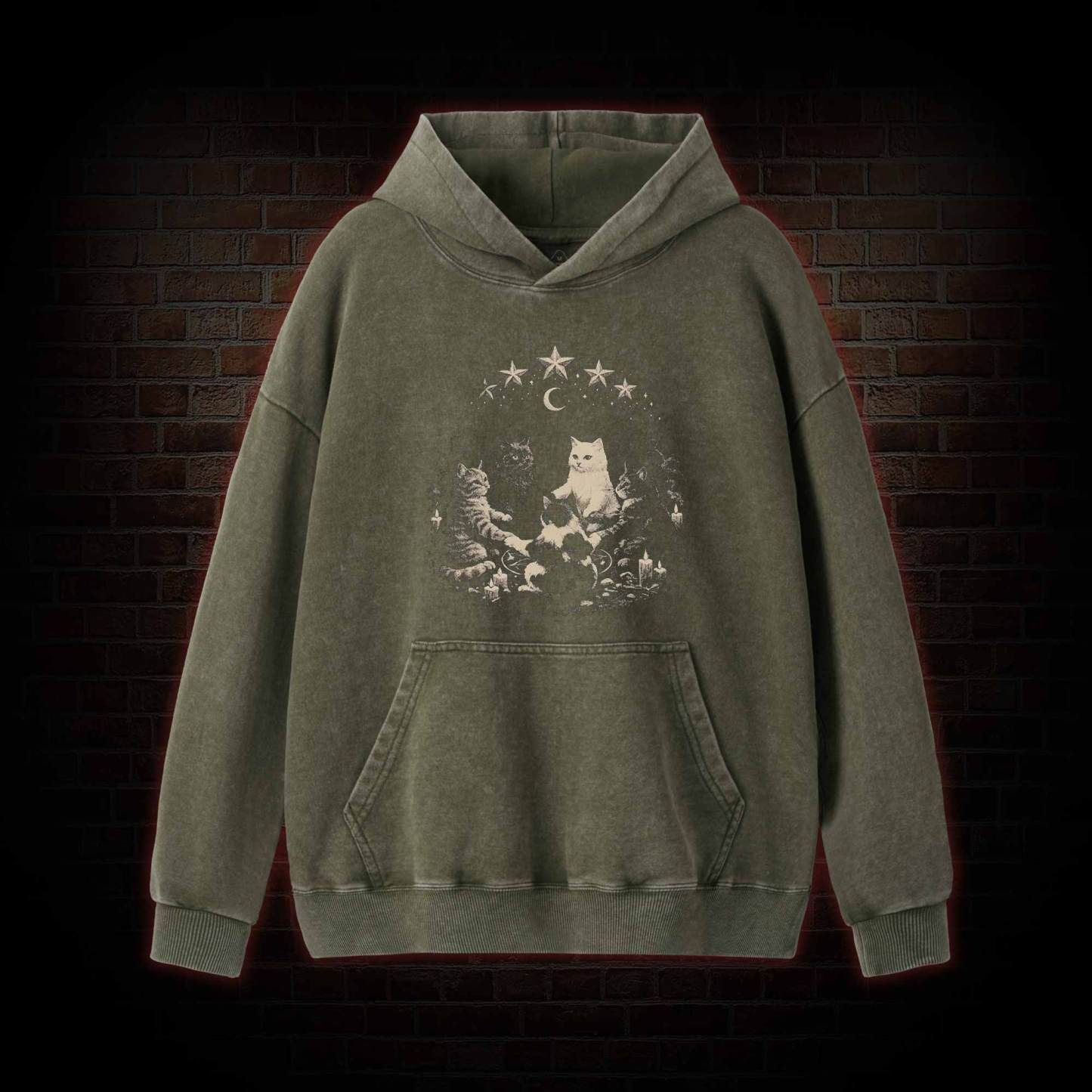 Cat Ritual Washed Hoodie