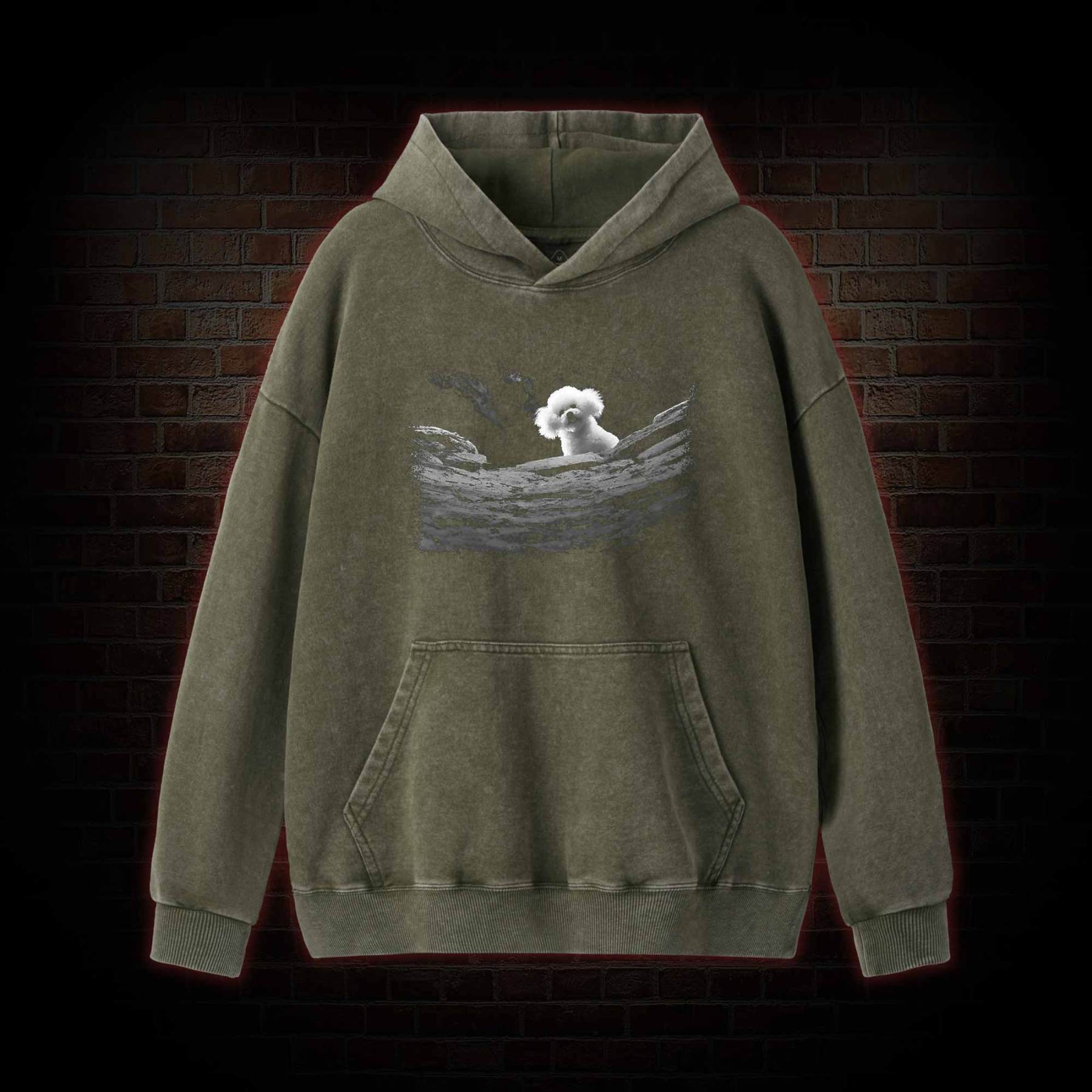 Precious Dog Washed Hoodie