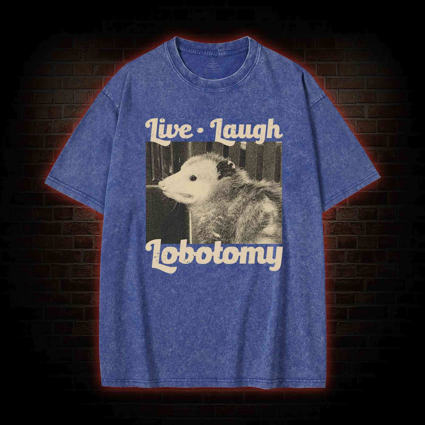 Live Laugh Lobotomy Washed T-shirt