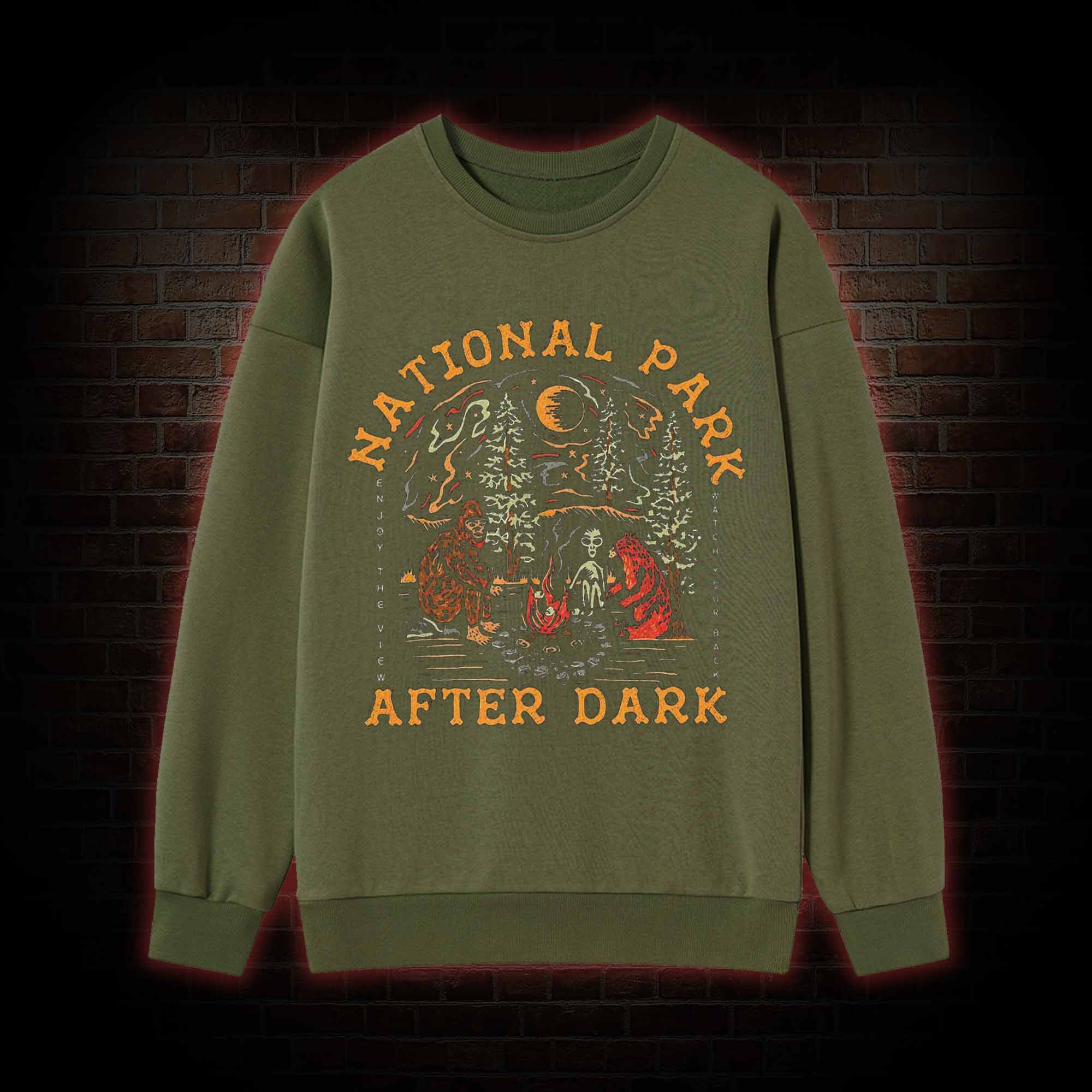 National Park After Dark Sweatshirt