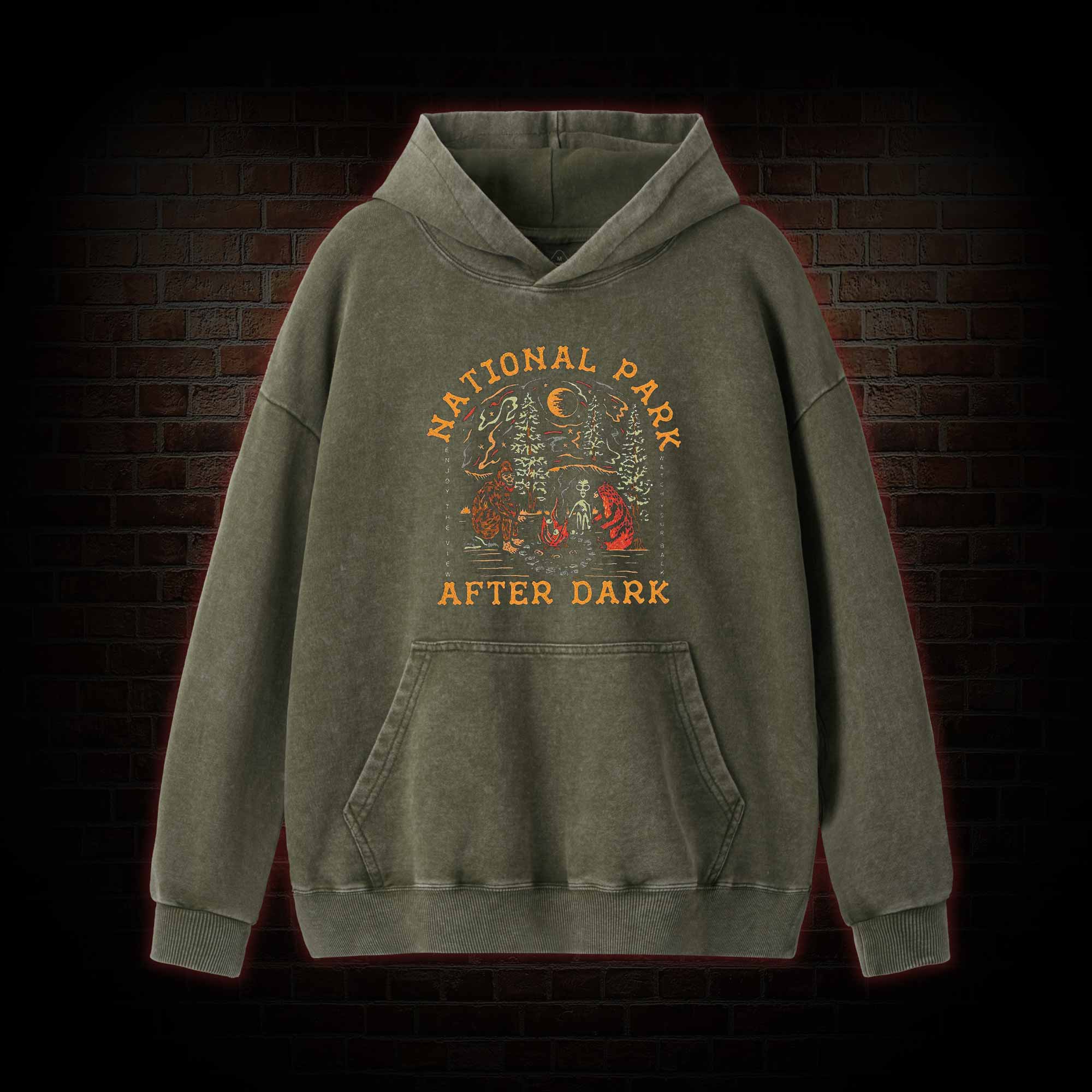 National Park After Dark Washed Hoodie