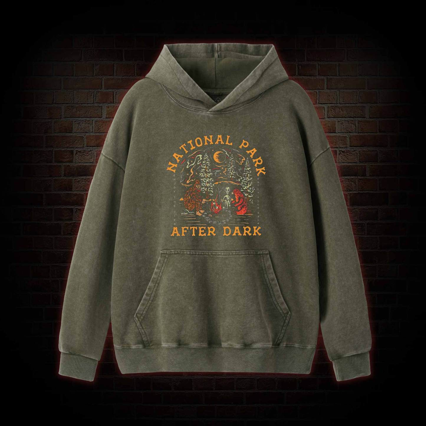 National Park After Dark Washed Hoodie